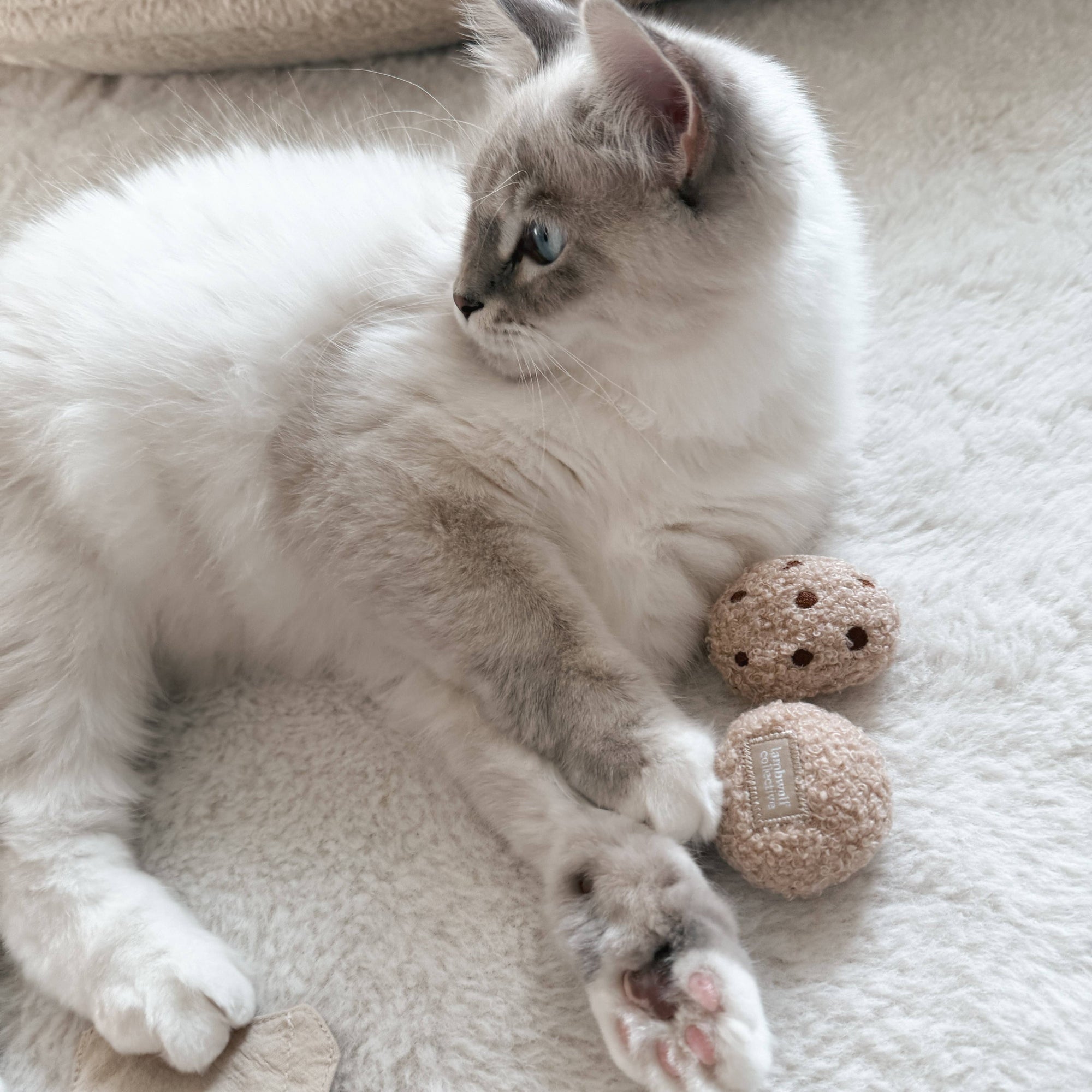 Lambwolf Collective - Catnip Cat Toy - Kitty Tea Time