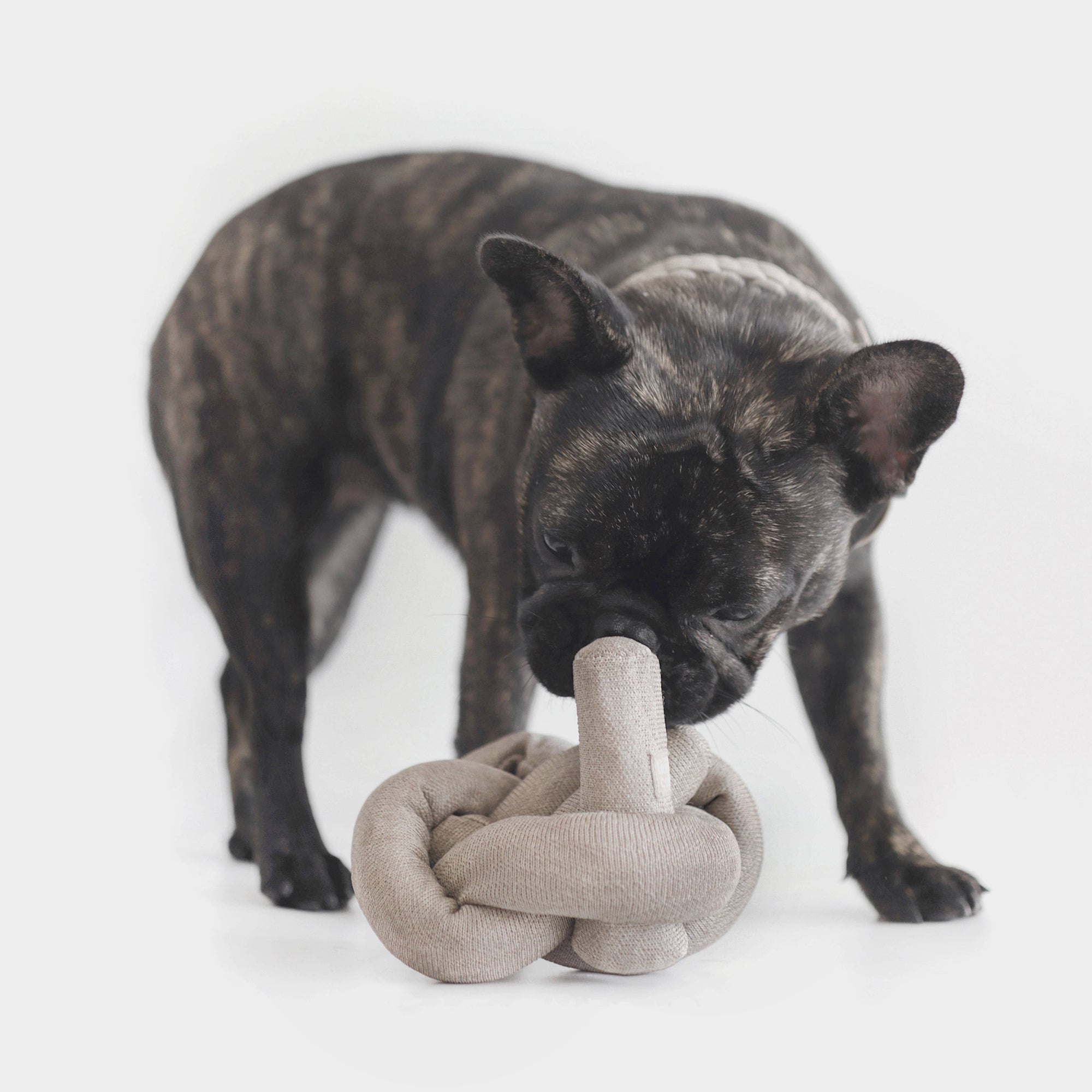 Lambwolf Collective - Nounou | gray with bell balls//ENRICHMENT DOG TOY