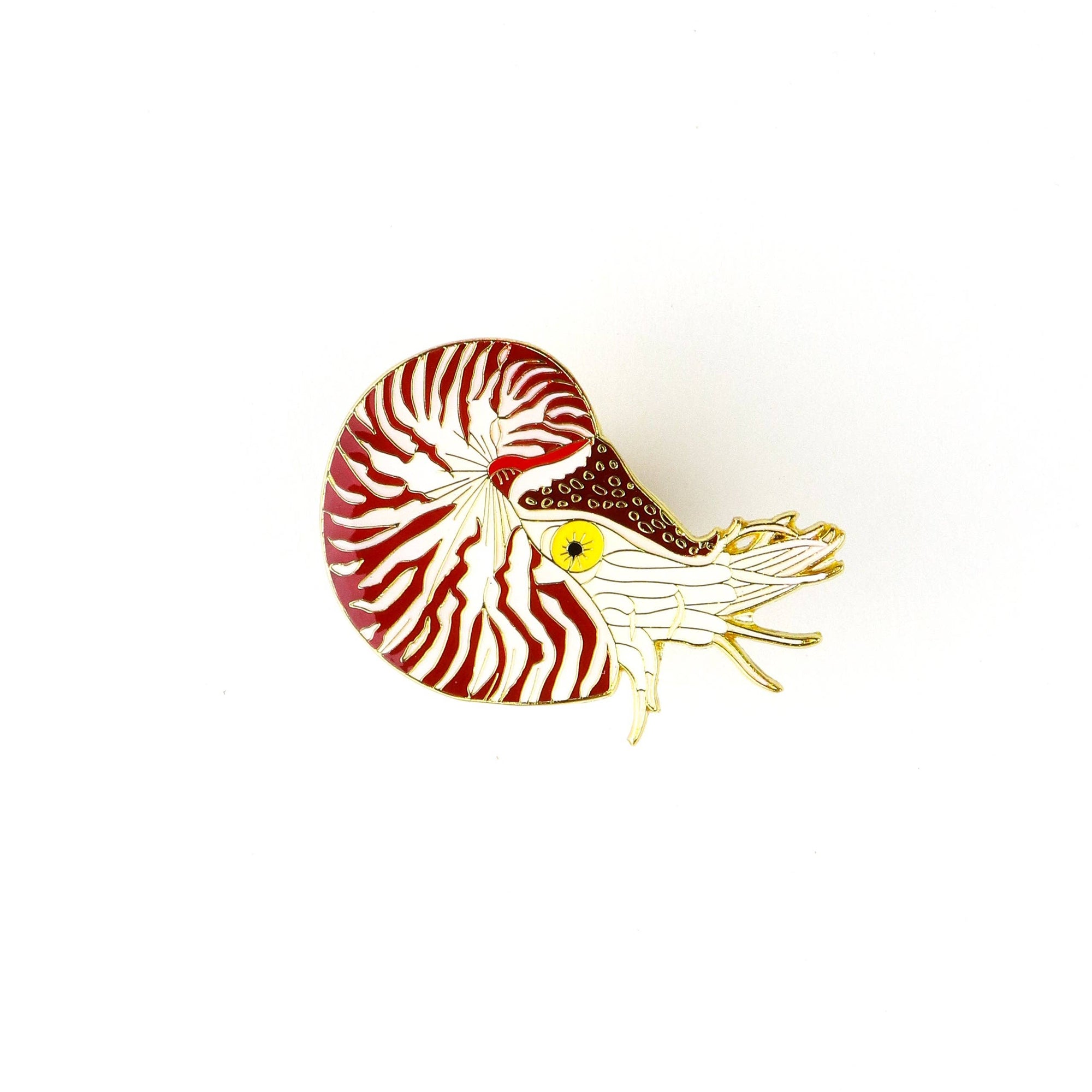 Chambered Nautilus Enamel Pin (Nautilus pompilius)