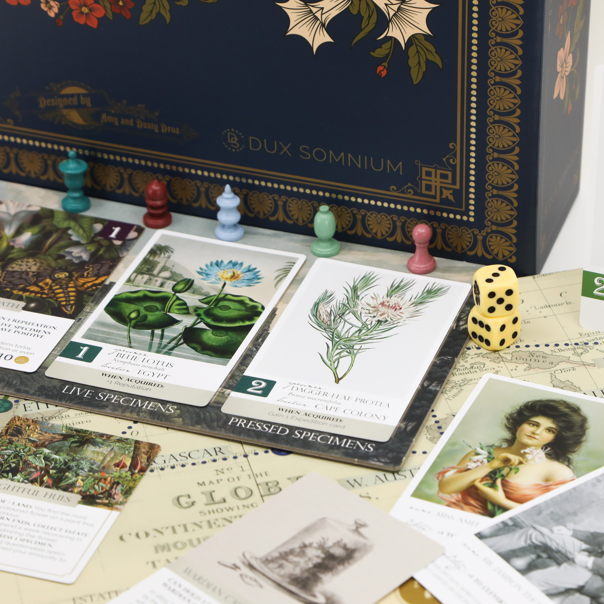 Botany - Flower Hunting in the Victorian Era - Board Game