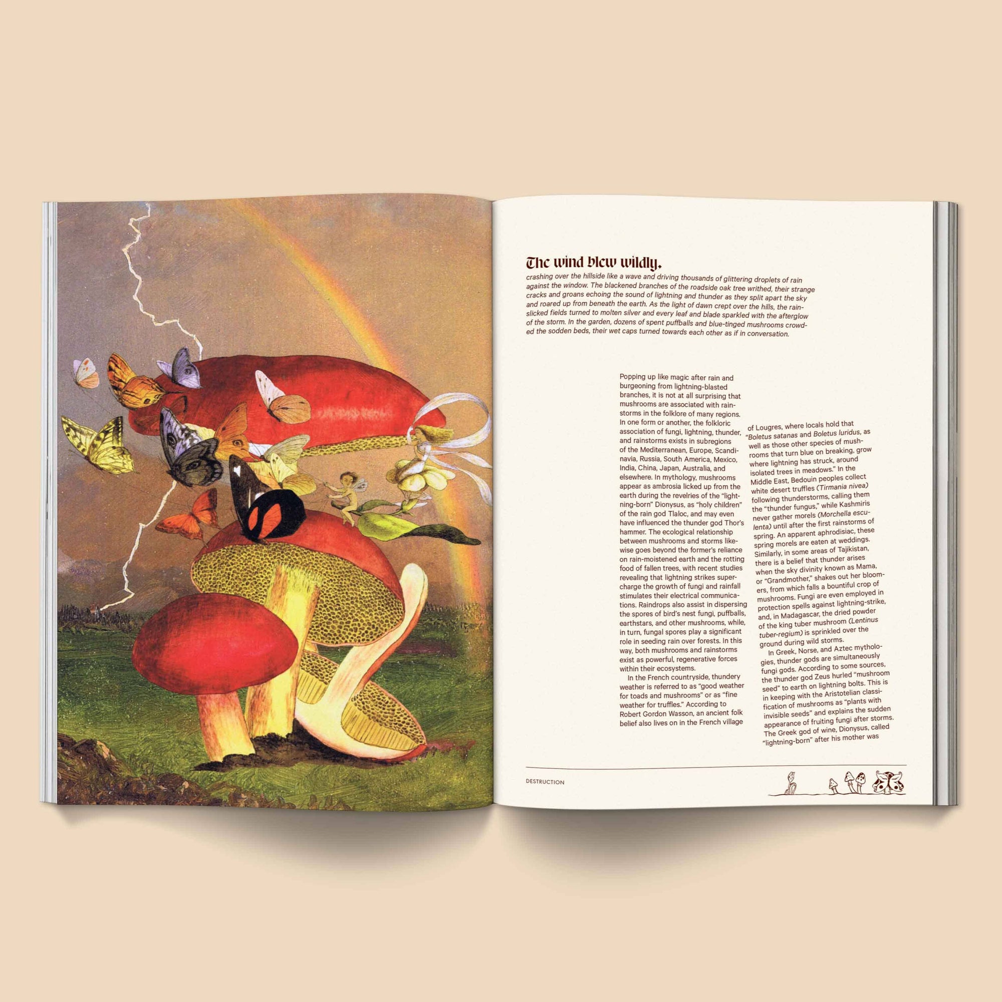 Mushroom People Magazine - Volume 2