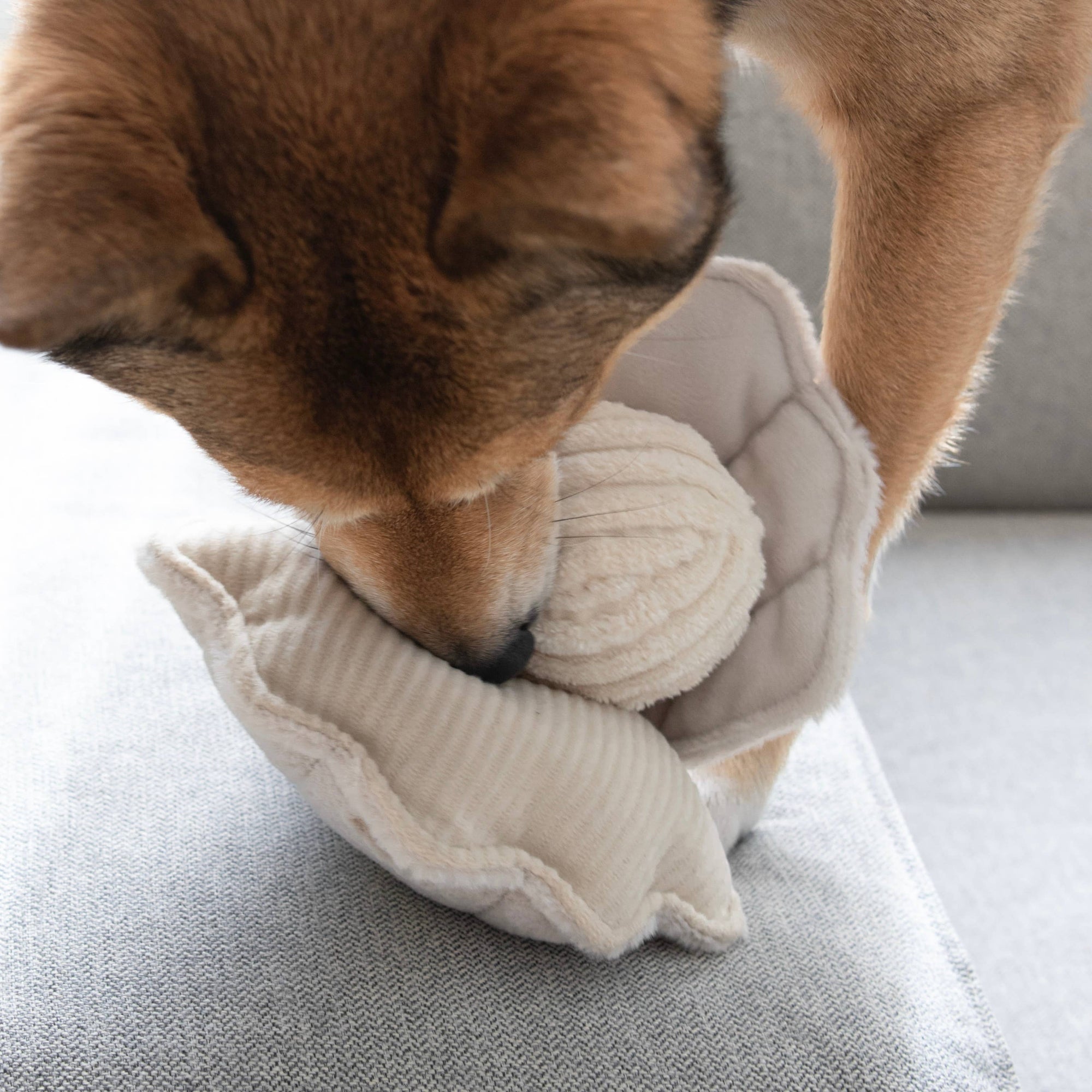 Lambwolf Collective - Enrichment Dog Toy - Oyster Pop at Space Camp in Portland, Oregon