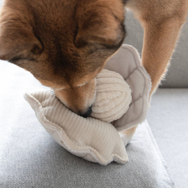 Lambwolf Collective - Enrichment Dog Toy - Oyster Pop at Space Camp in Portland, Oregon