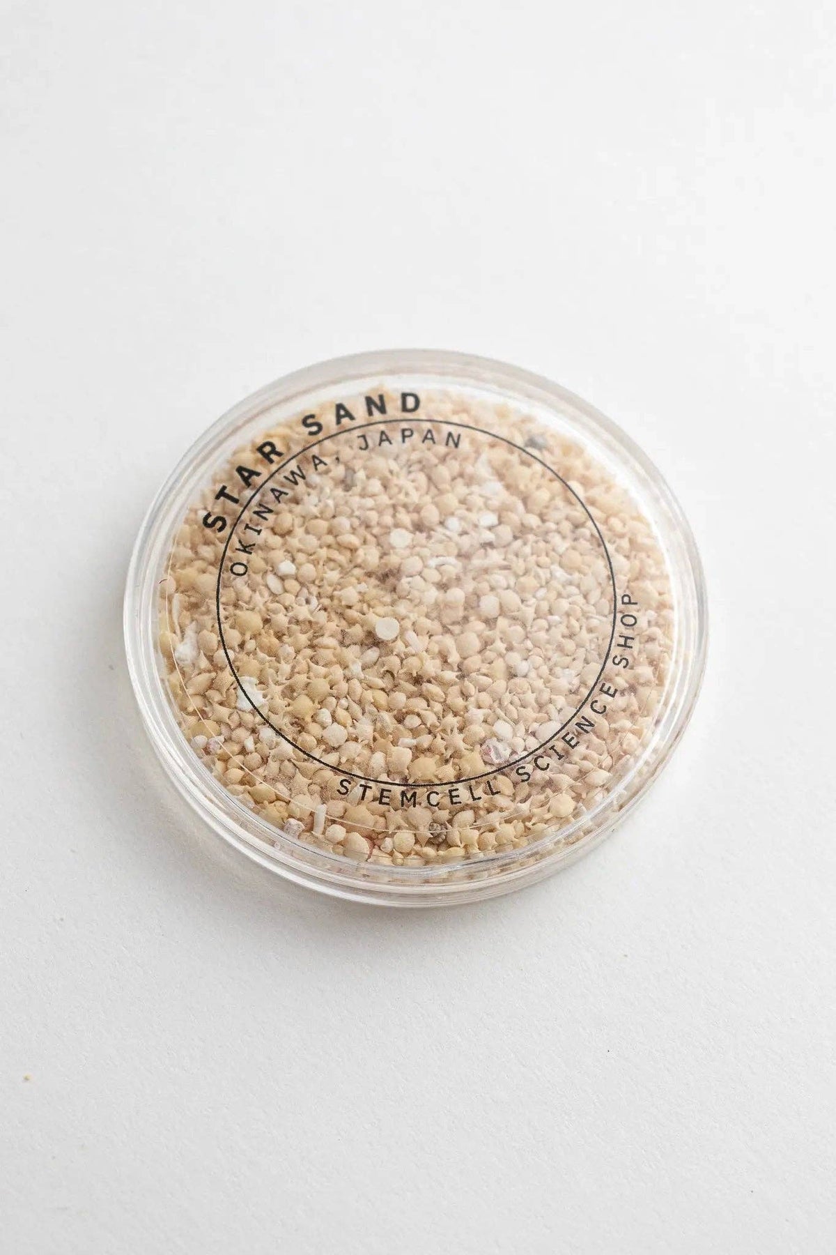 Japanese Ribbed Sand Japanese Star Sand