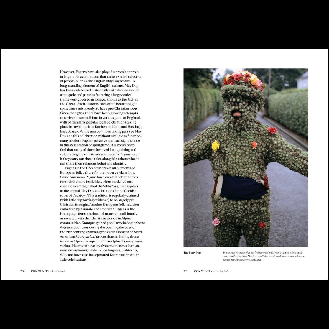 Pagans: The Visual Culture of Pagan Myths, Legends and Rituals by Ethan Doyle White