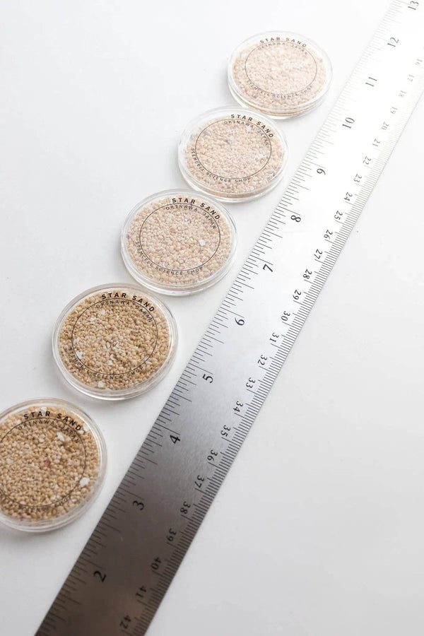 Japanese Star Sand