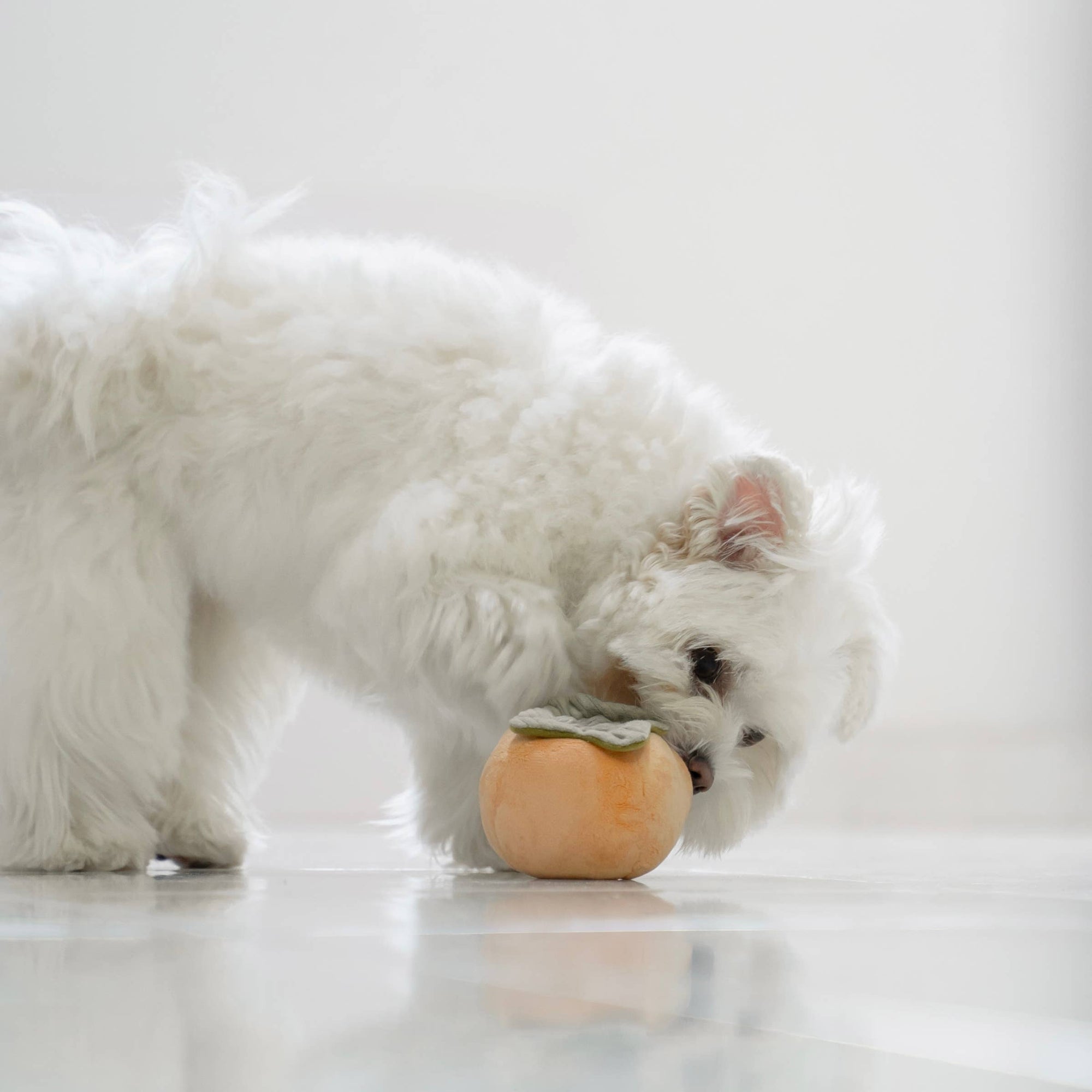 Lambwolf Collective - Enrichment Snuffle DogToy - Persimmon