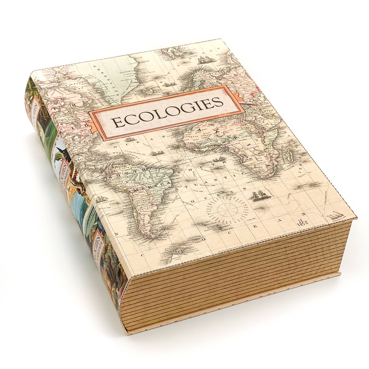 Ecologies Faux Book Box Container and Organizer