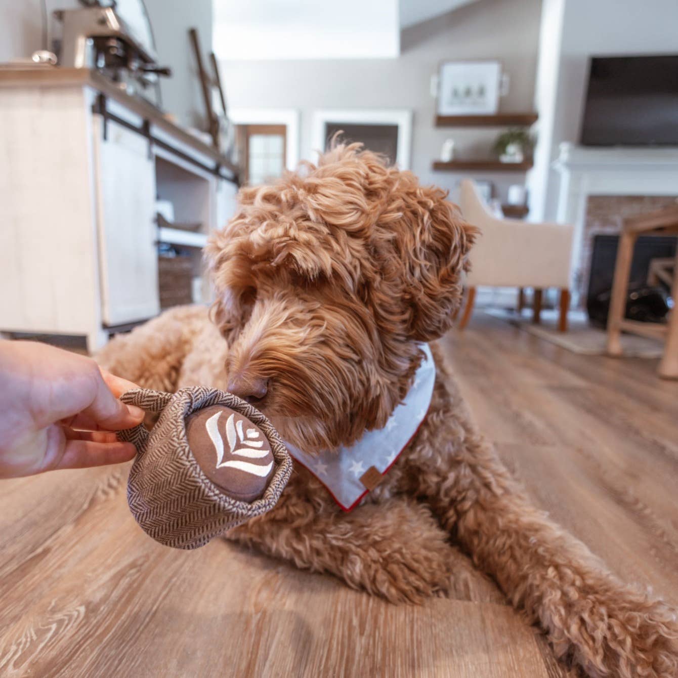 Lambwolf Collective - Latte Pop - Enrichment Dog Toy - Squeaky Ball