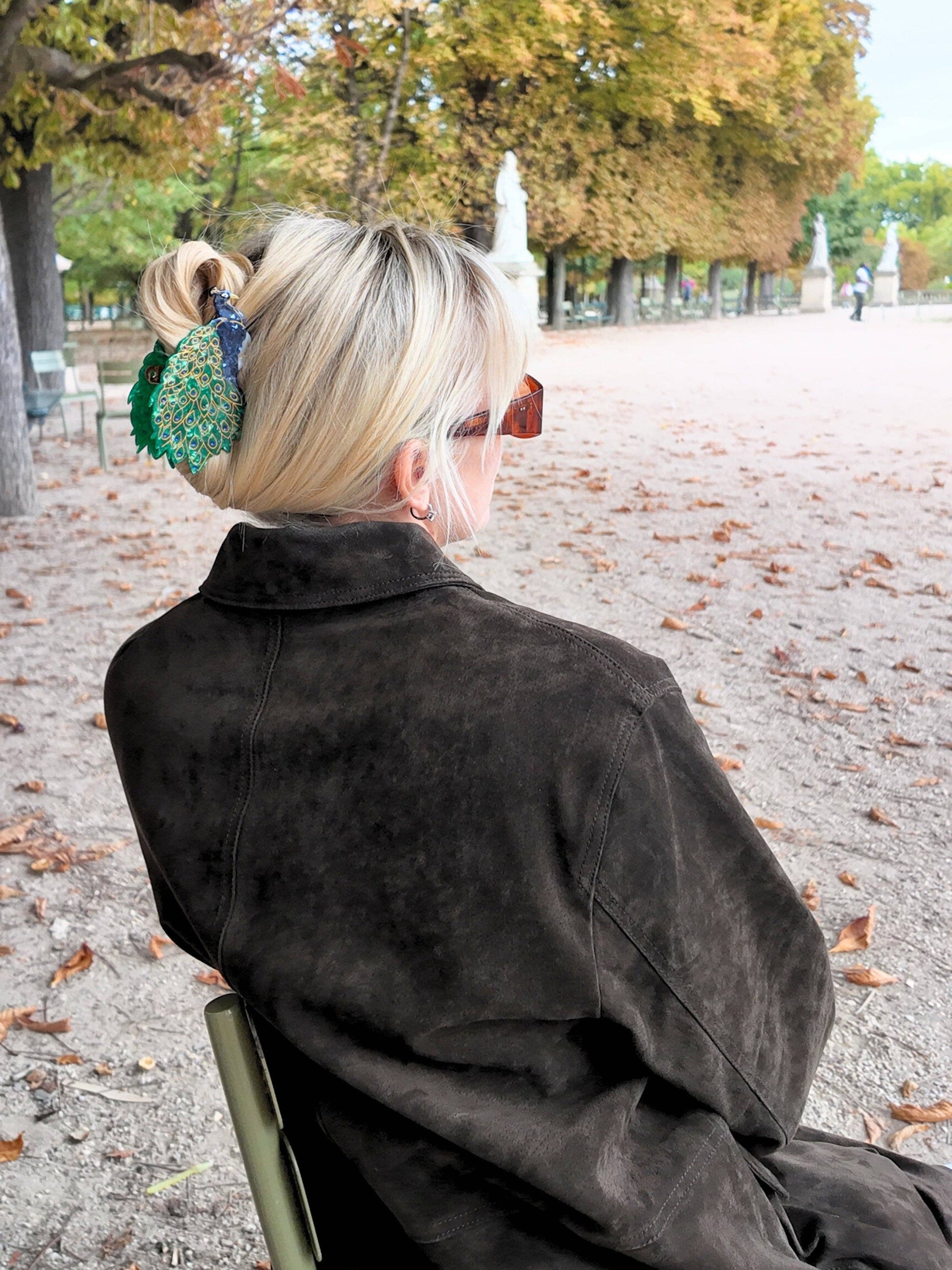 Solar Eclipse - Hand-Painted Peacock Bird Claw Clip