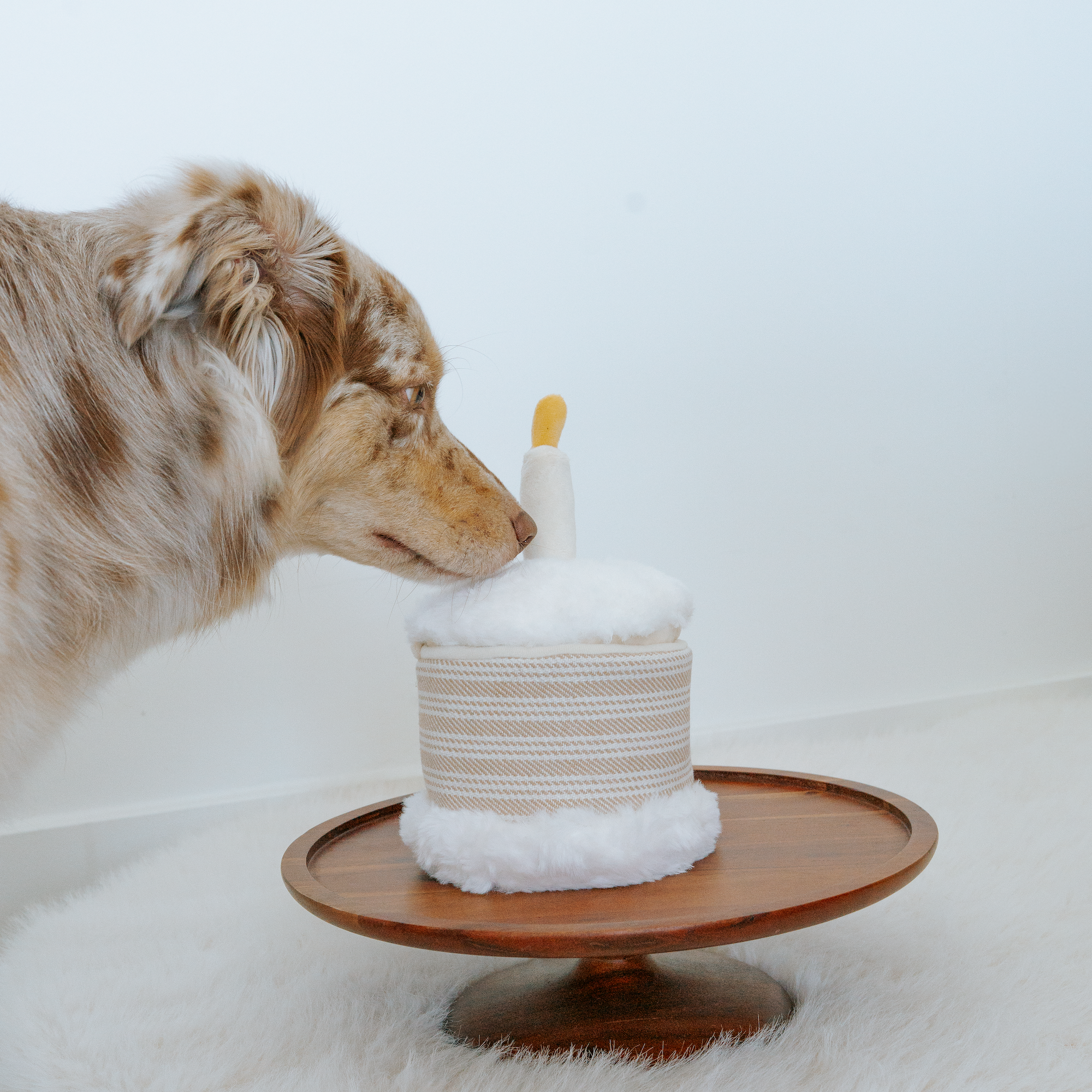 Lambwolf Collective - Burrow Toy - Birthday Cake