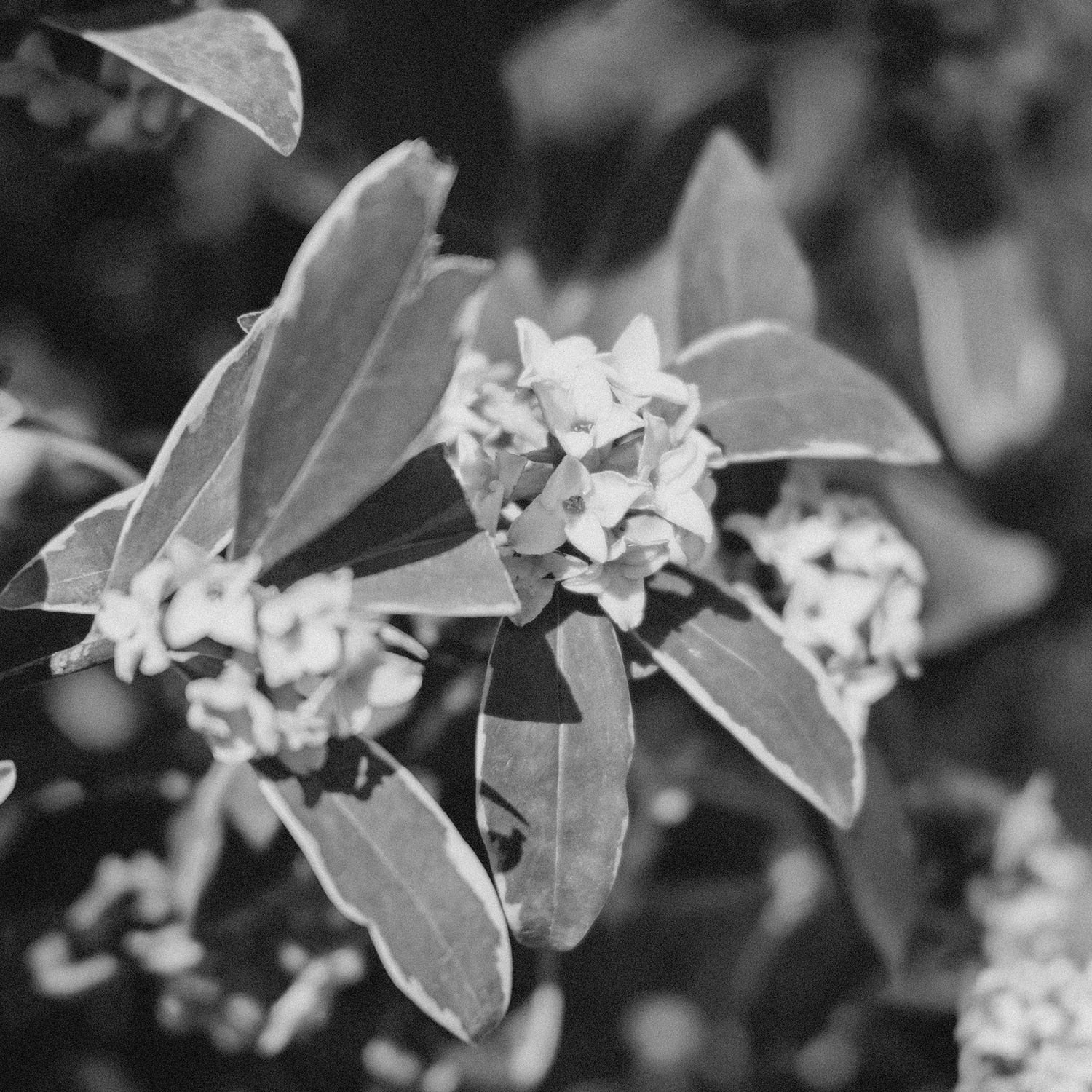 Concreted - 04 A Thousand Miles