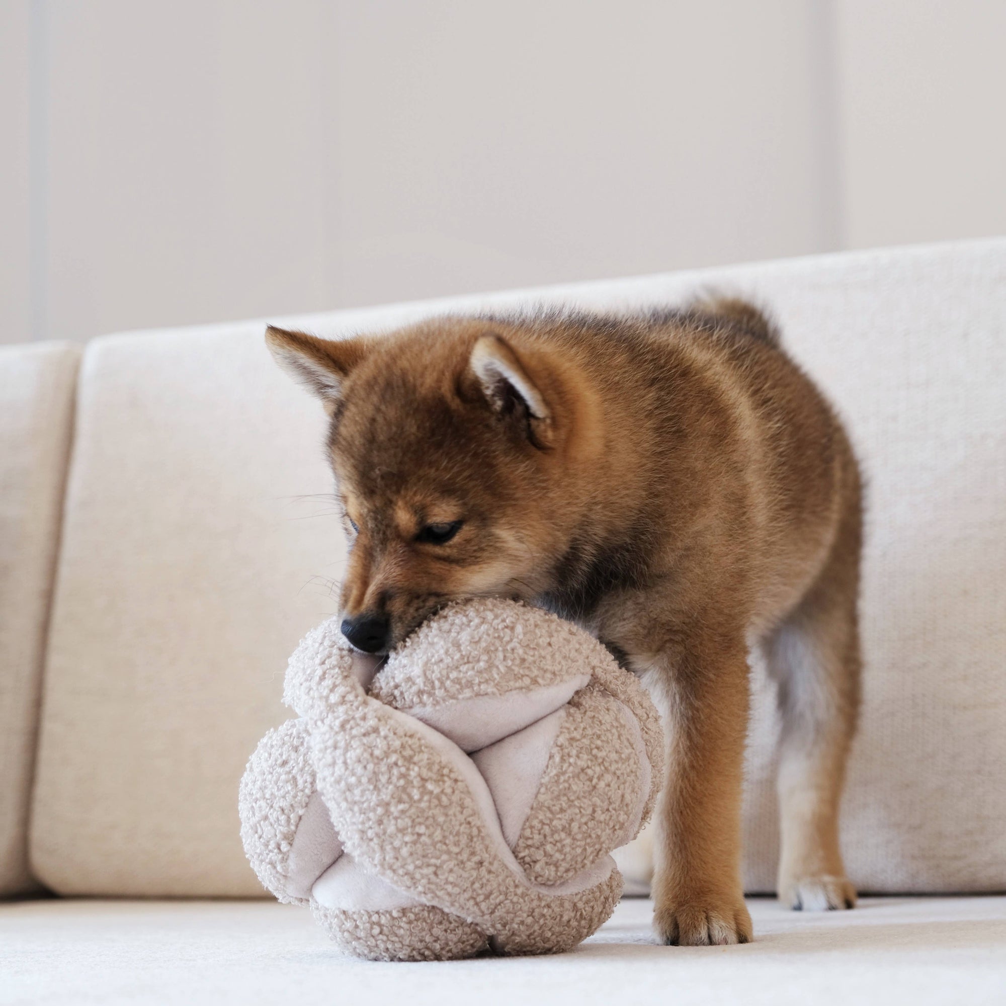 Lambwolf Collective - Monti Enrichment Dog Toy - Baby Blue