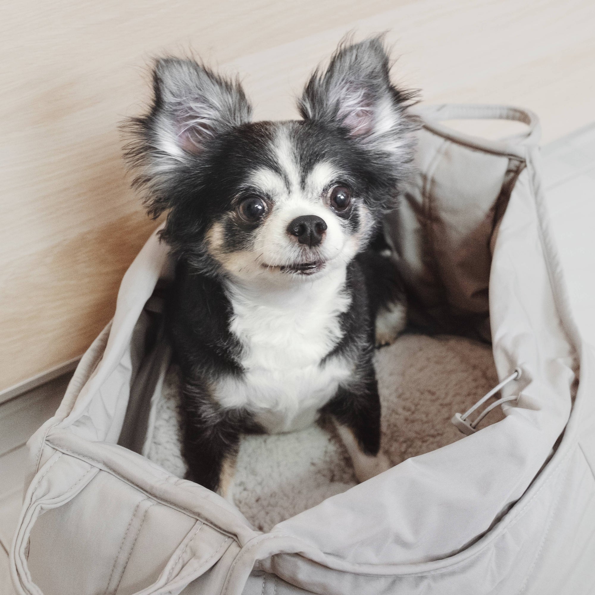 Lambwolf Collective - Olla Petite Pet  Carrier - Camel