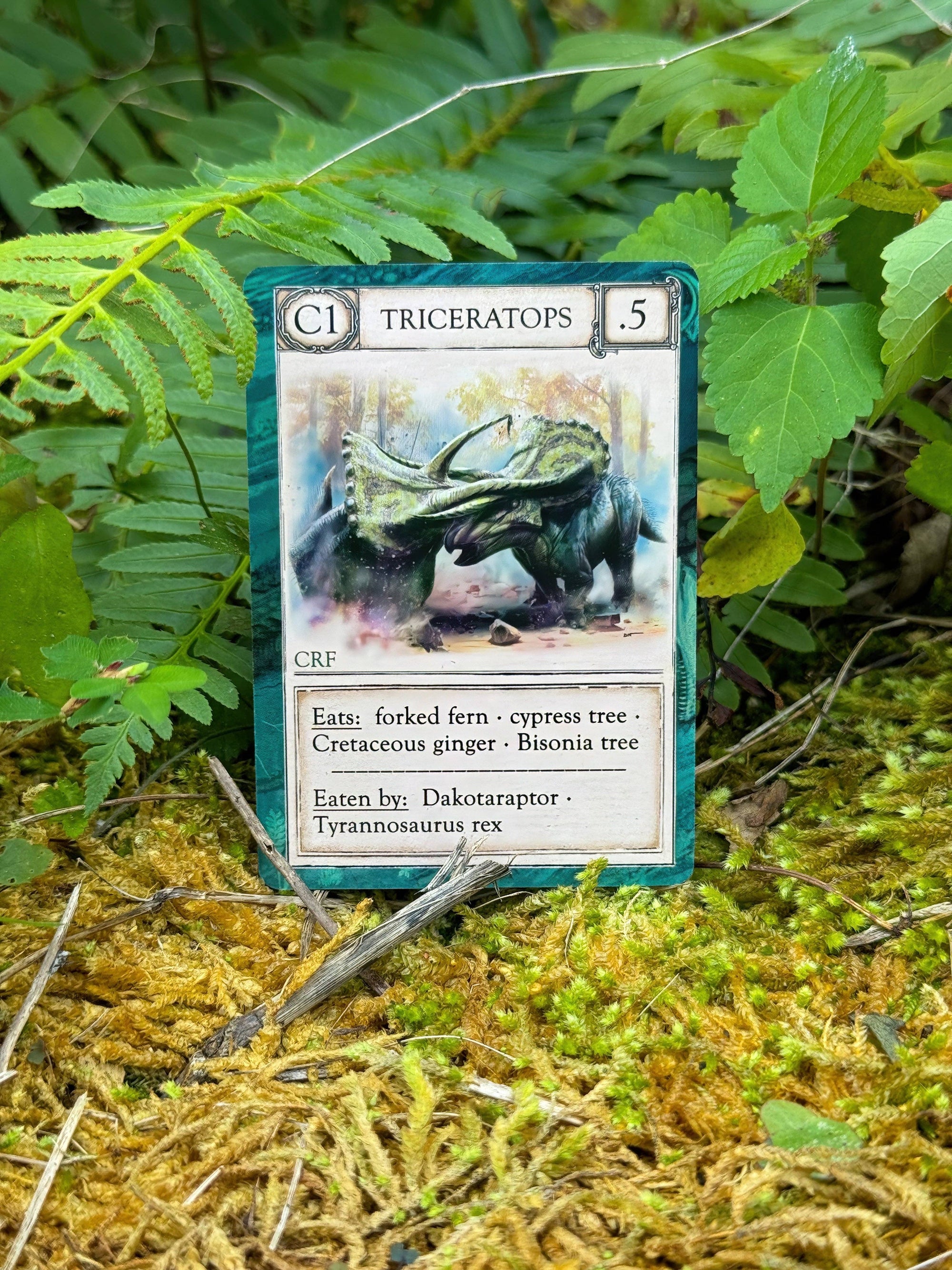 Ecologies: Ancient Areas - Card Game