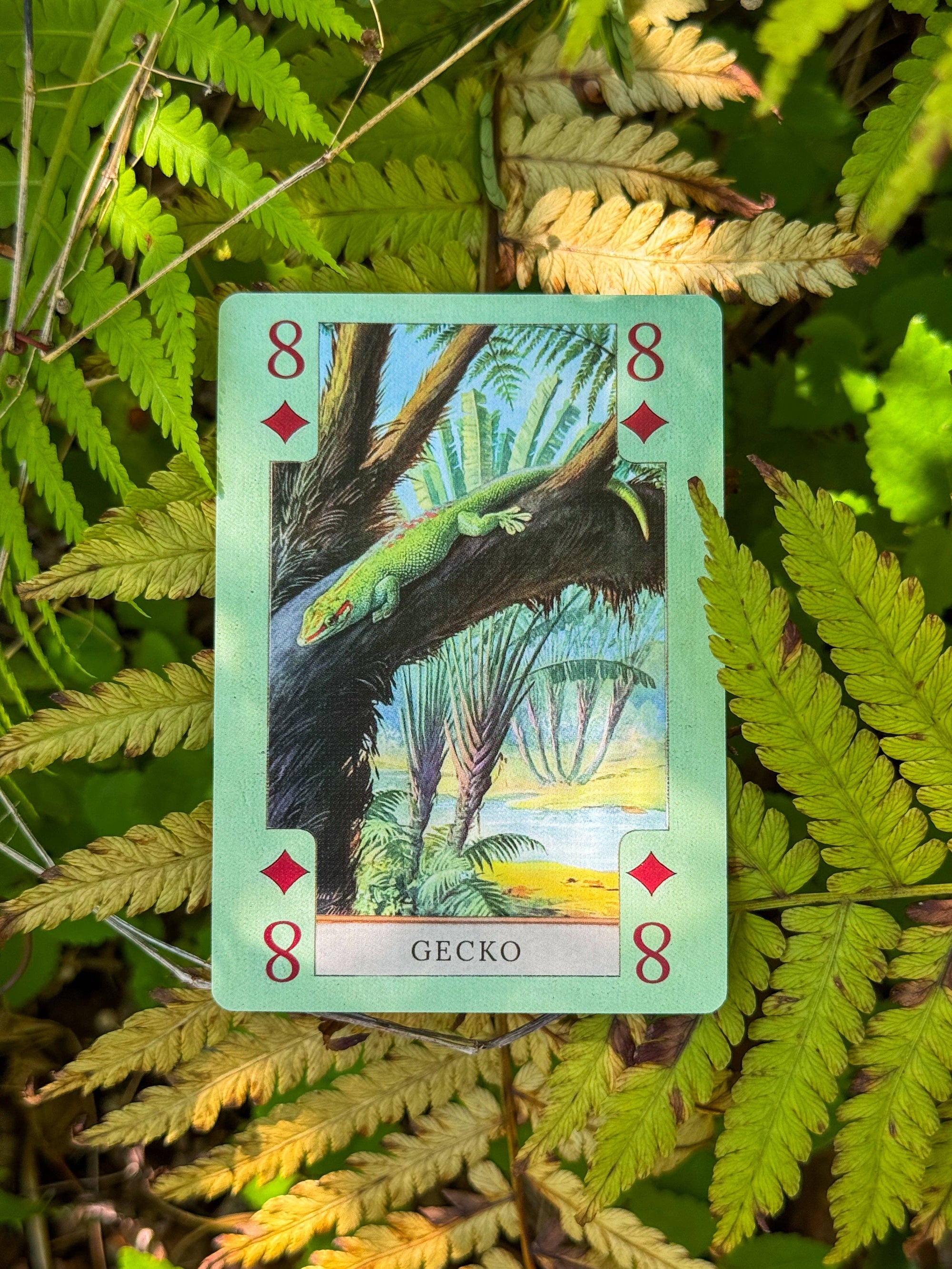 Vintage Art Playing Cards - Fish, Birds, Herps, and Inverts