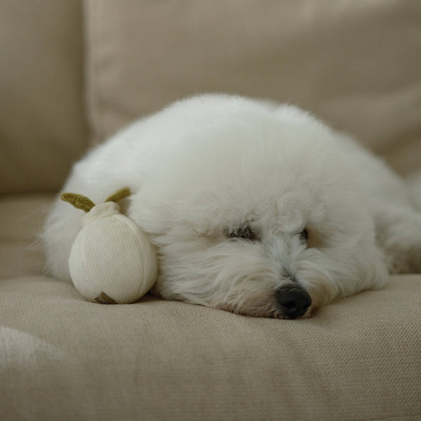 Lambwolf Collective - Enrichment Dog Toy - Garlic Pop