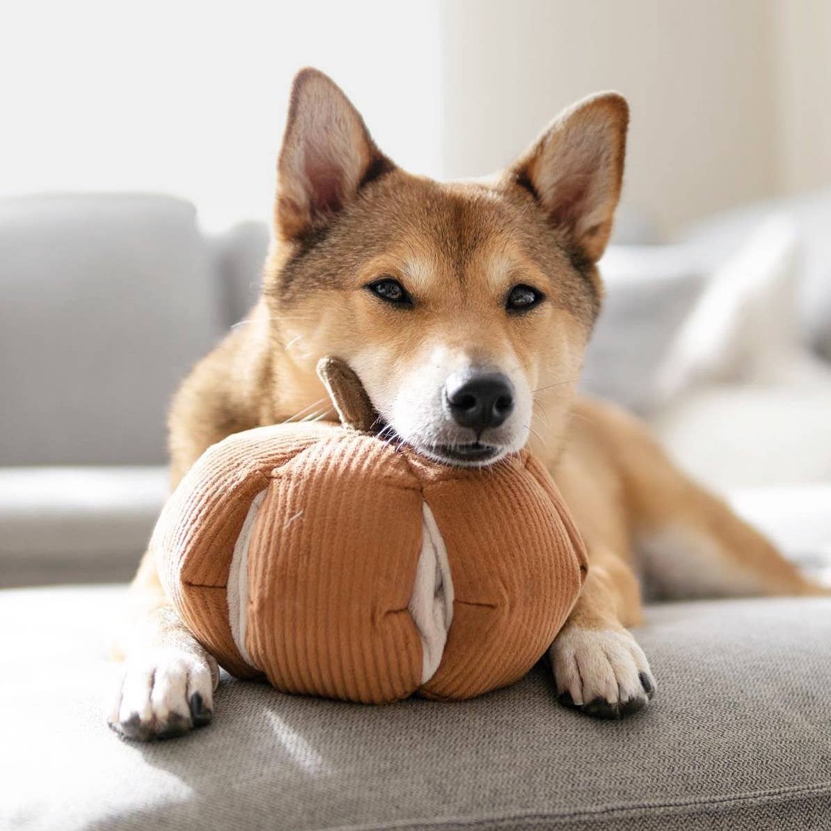 Lambwolf Collective - Enrichment Dog Toy - Cinderella