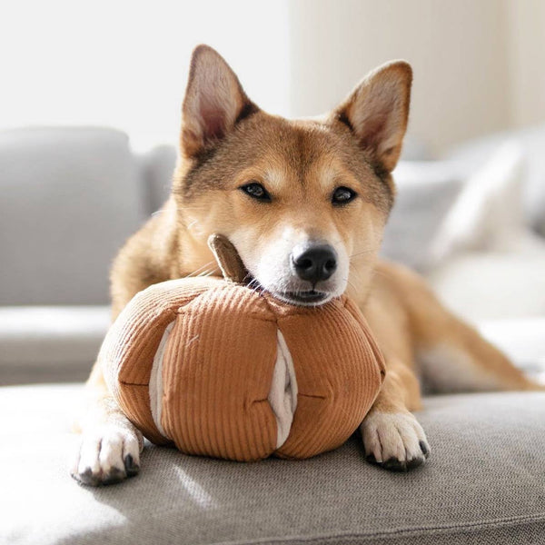 Lambwolf Collective - Enrichment Dog Toy - Cinderella