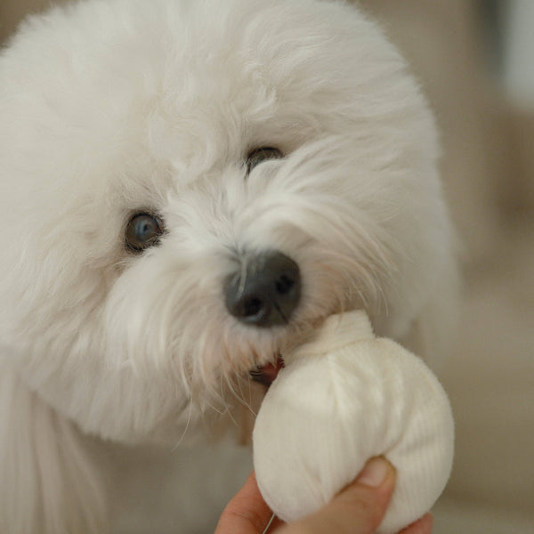 Lambwolf Collective - Enrichment Dog Toy - Garlic Pop