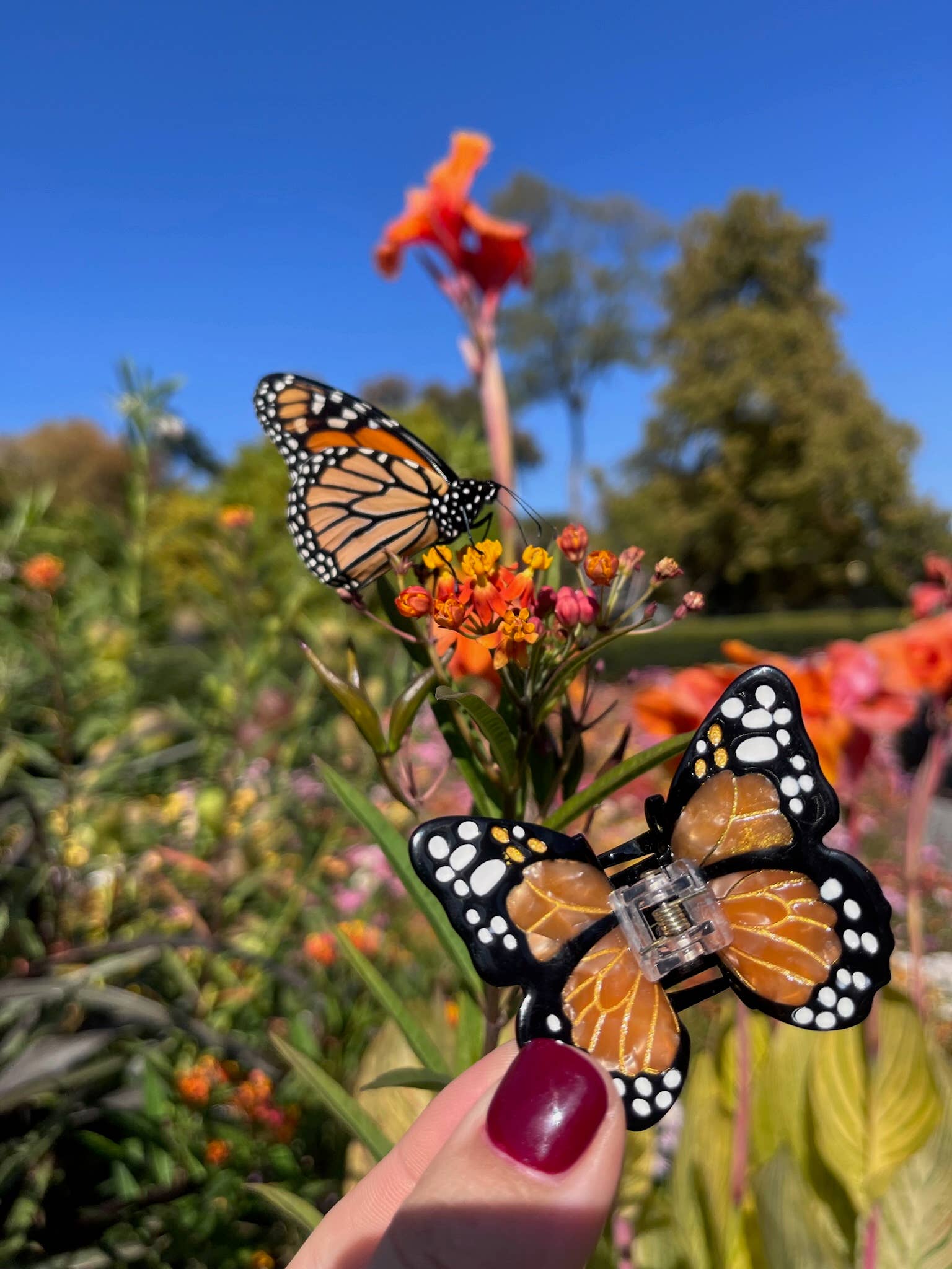 Solar Eclipse - Hand-painted Mini Monarch Claw Hair Clip - Orange