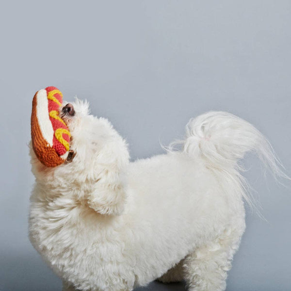 Ware of the Dog - Hand Knit Wool Dog Toy - Hot Dog