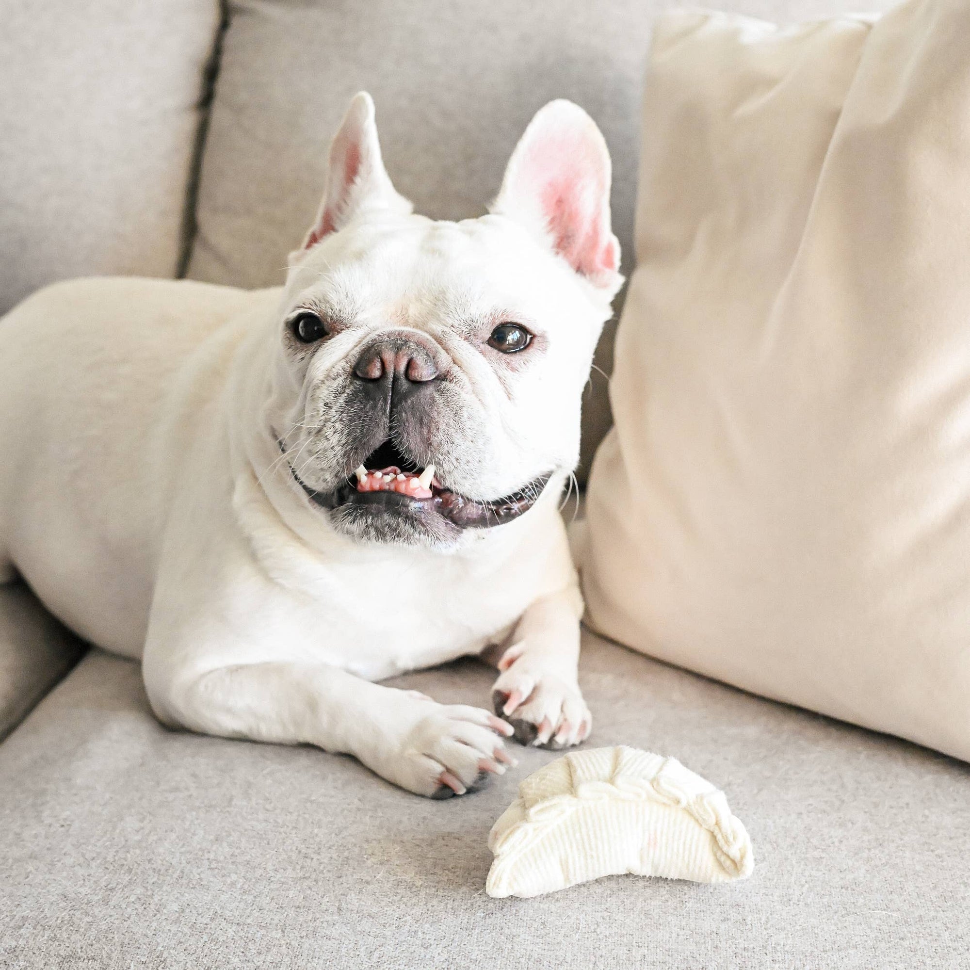 Lambwolf Collective - Dim Sum Pop // Enrichment dog toy