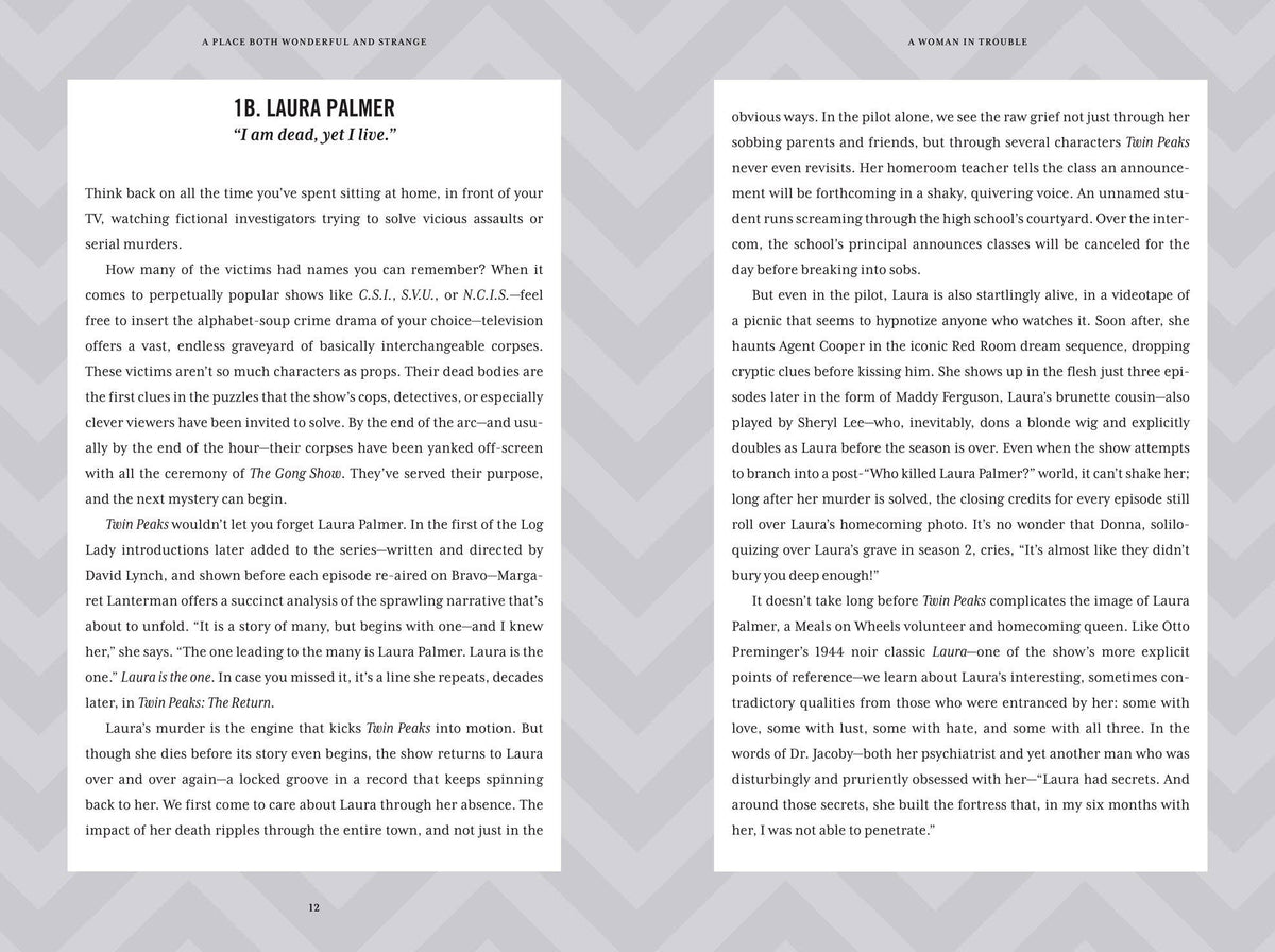 A Place Both Wonderful and Strange: The Extraordinary Untold History of Twin Peaks by Scott Meslow