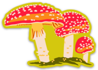 Long Lost Studio - Toadstool Mushroom Sticker