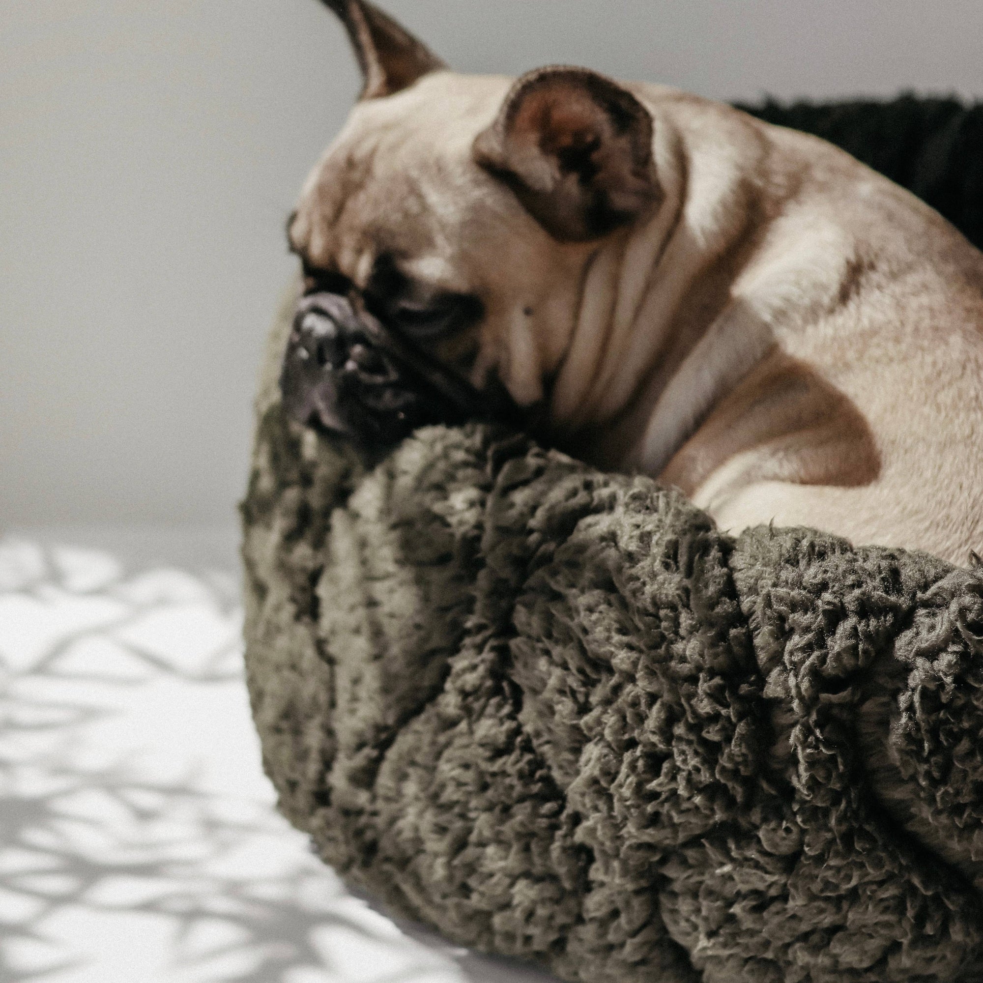 Lambwolf Collective - TAART Reversible Petite Pet Bed - Fern