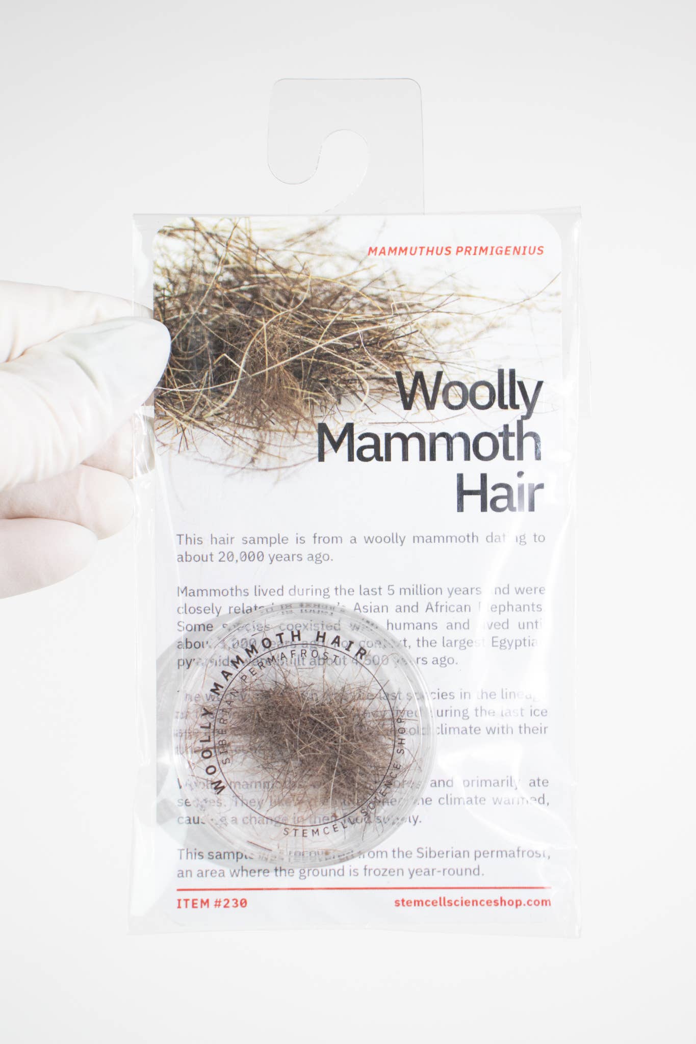 Woolly Mammoth Hair