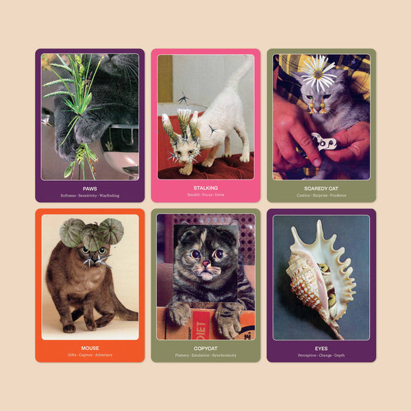 The Cat Oracle & Guidebook