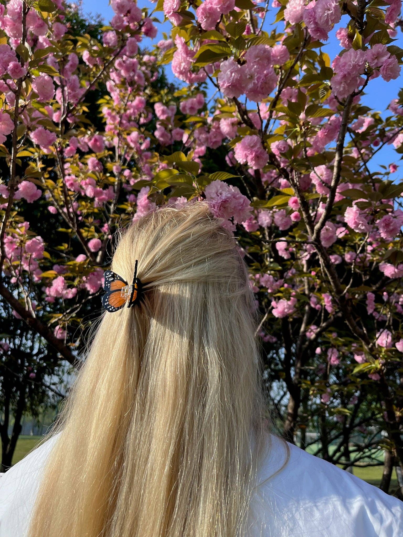 Solar Eclipse - Mini Monarch Butterfly Claw Hair Clip: Baby Blue - Limited Edition