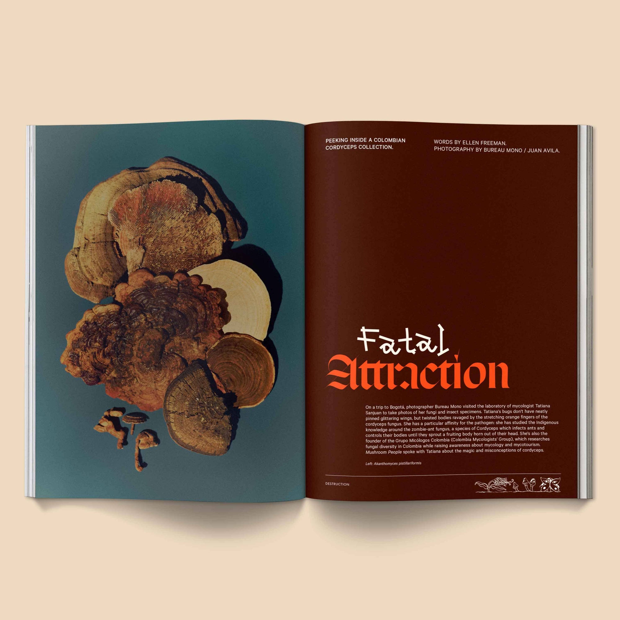 Mushroom People Magazine - Volume 2