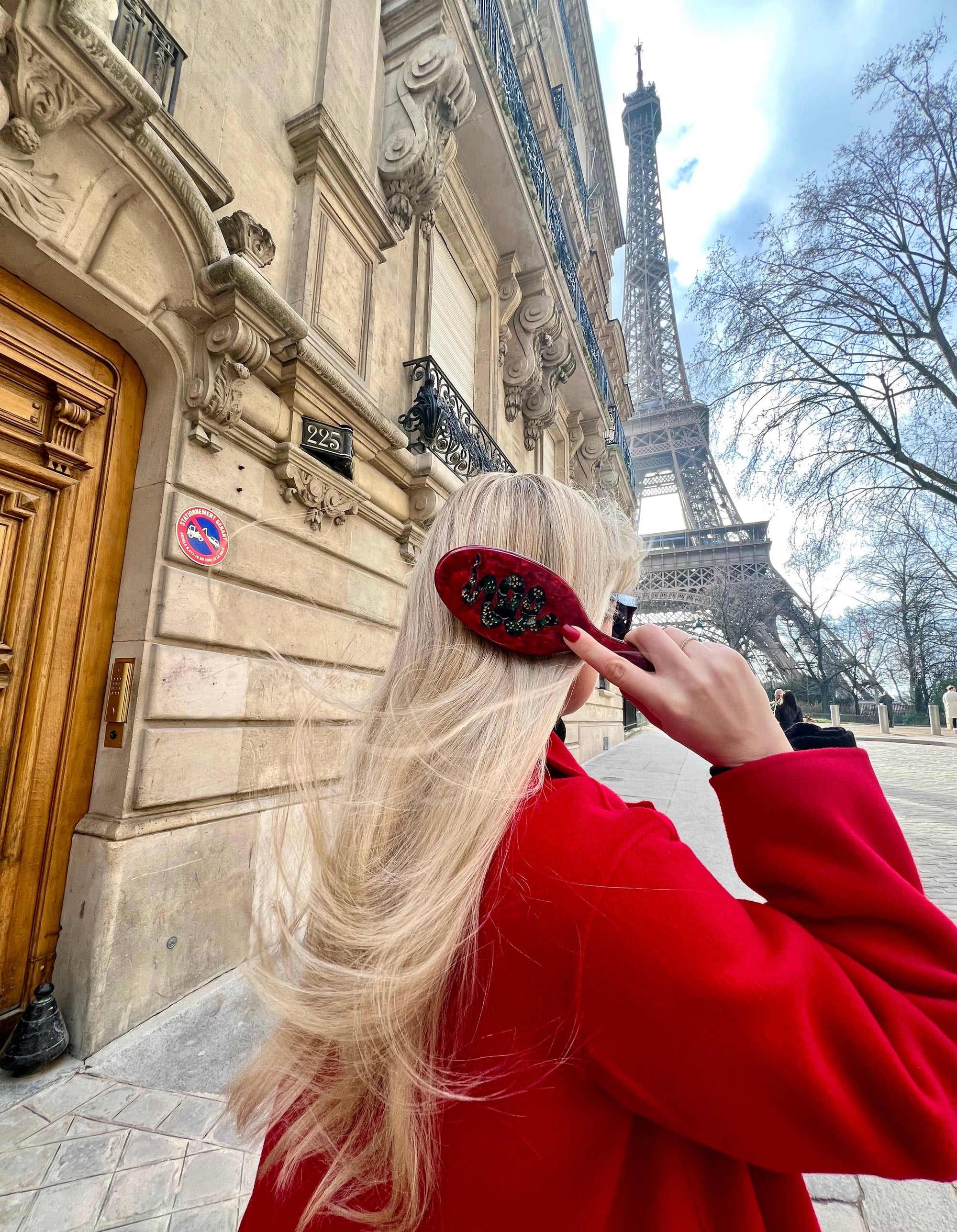 Solar Eclipse - Hand-painted Snake Amazing Hair Day Brush