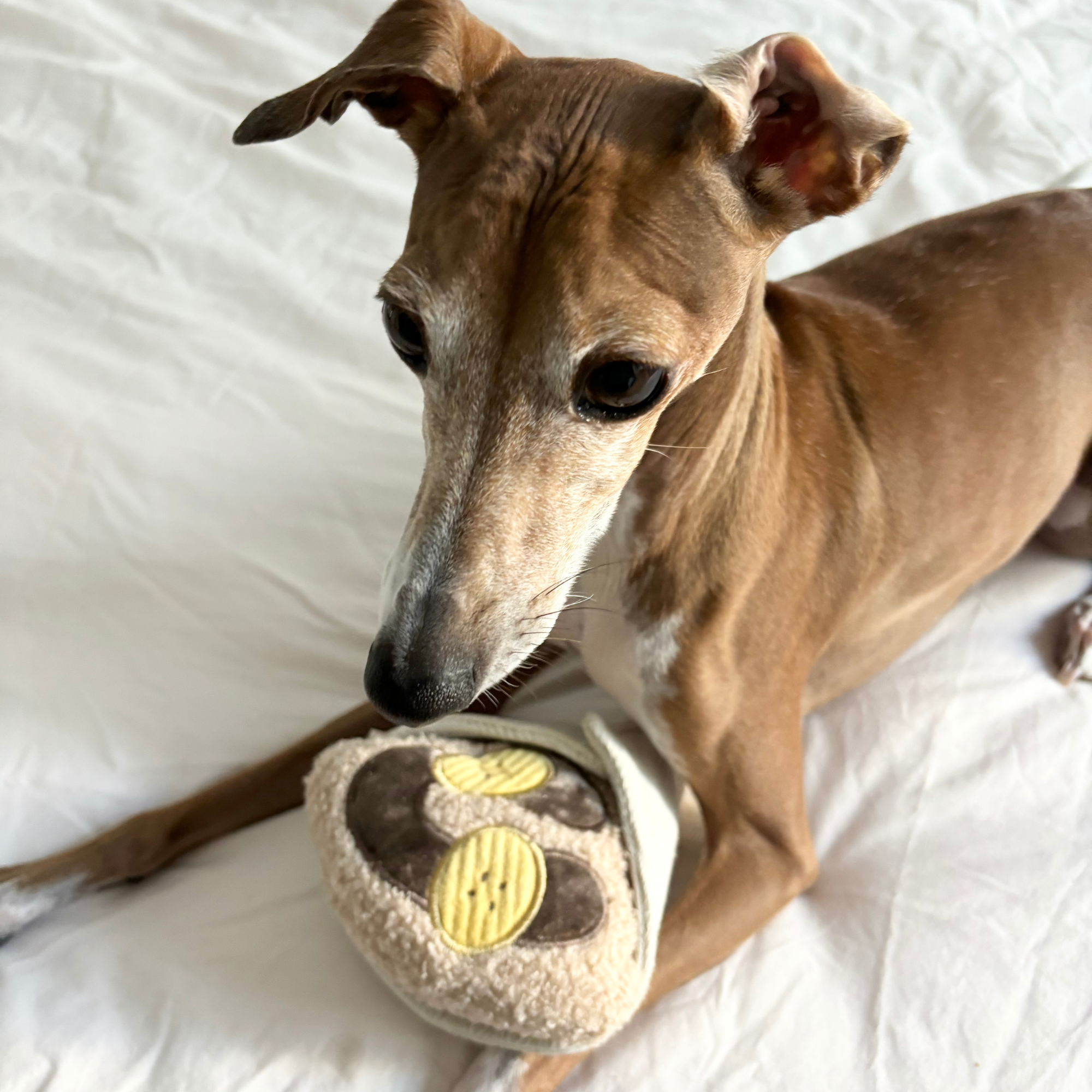 Lambwolf Collective - CREPE // ENRICHMENT DOG TOY // SNUFFLE TOY