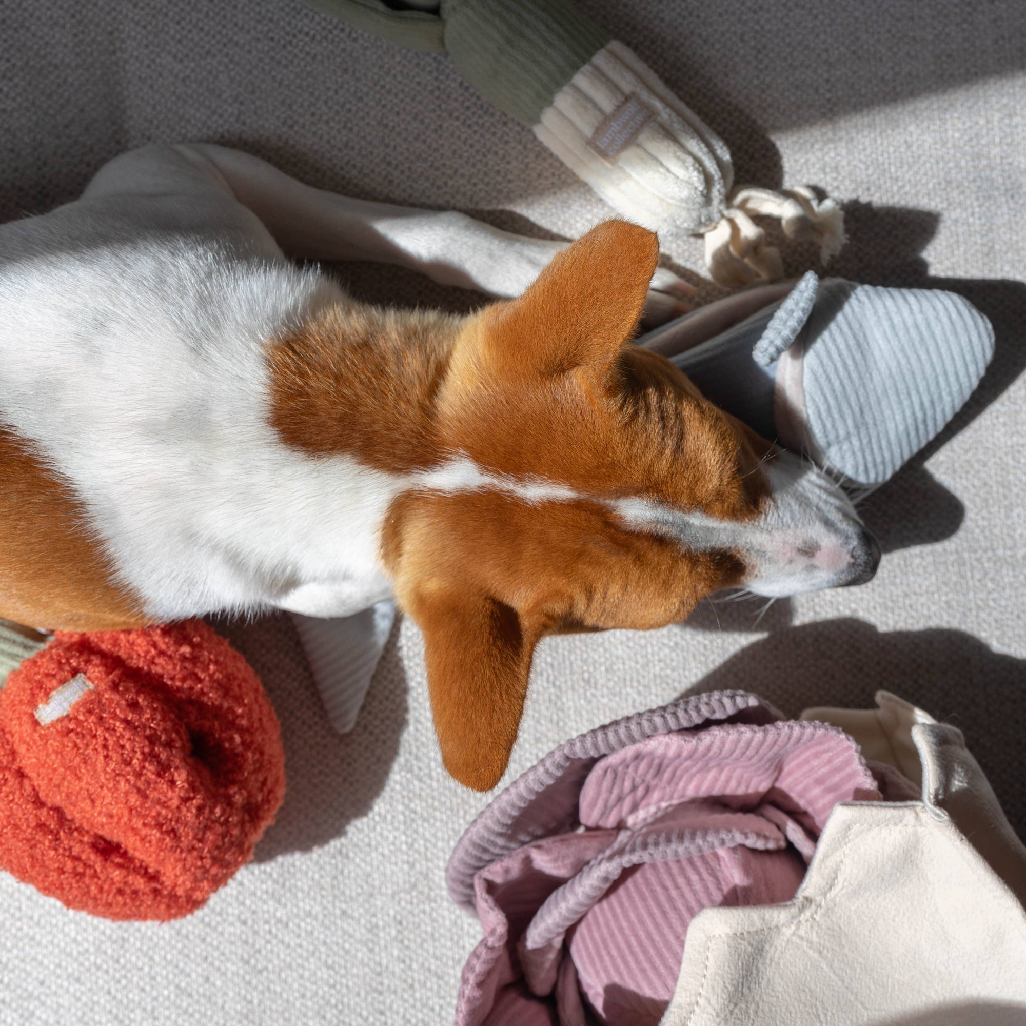 Lambwolf Collective - Enrichment Snuffle Dog Toy - Pepper
