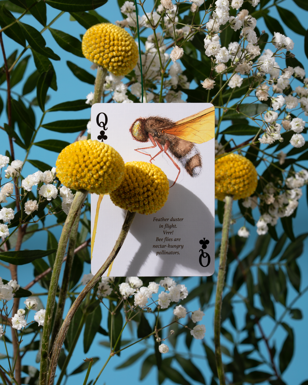 Eastern Forest - Playing Cards