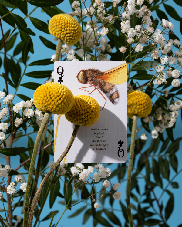 Eastern Forest - Playing Cards