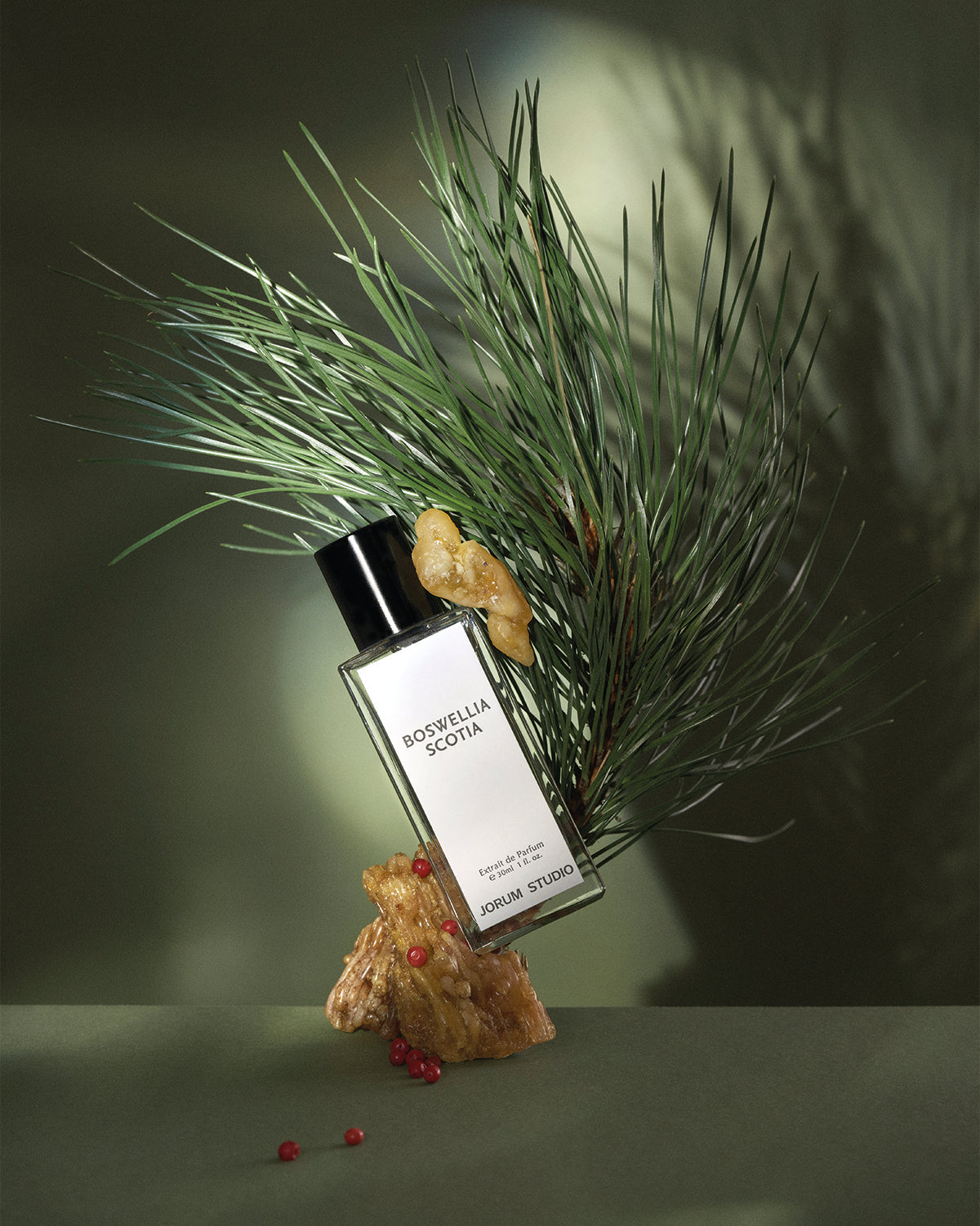Jorum Studio - Boswellia Scotia - Extrait de Parfum