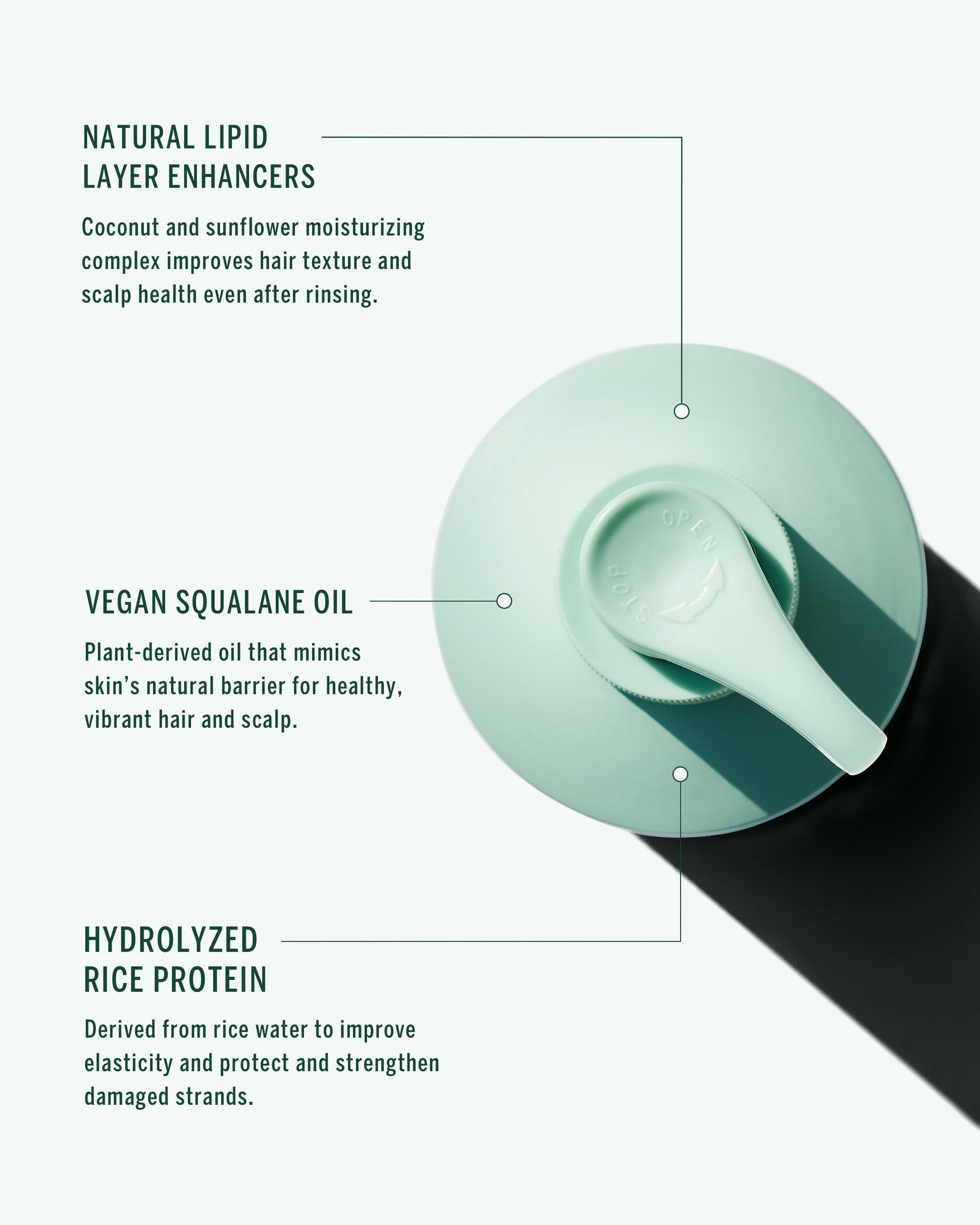 Corpus - Cypress Shampoo