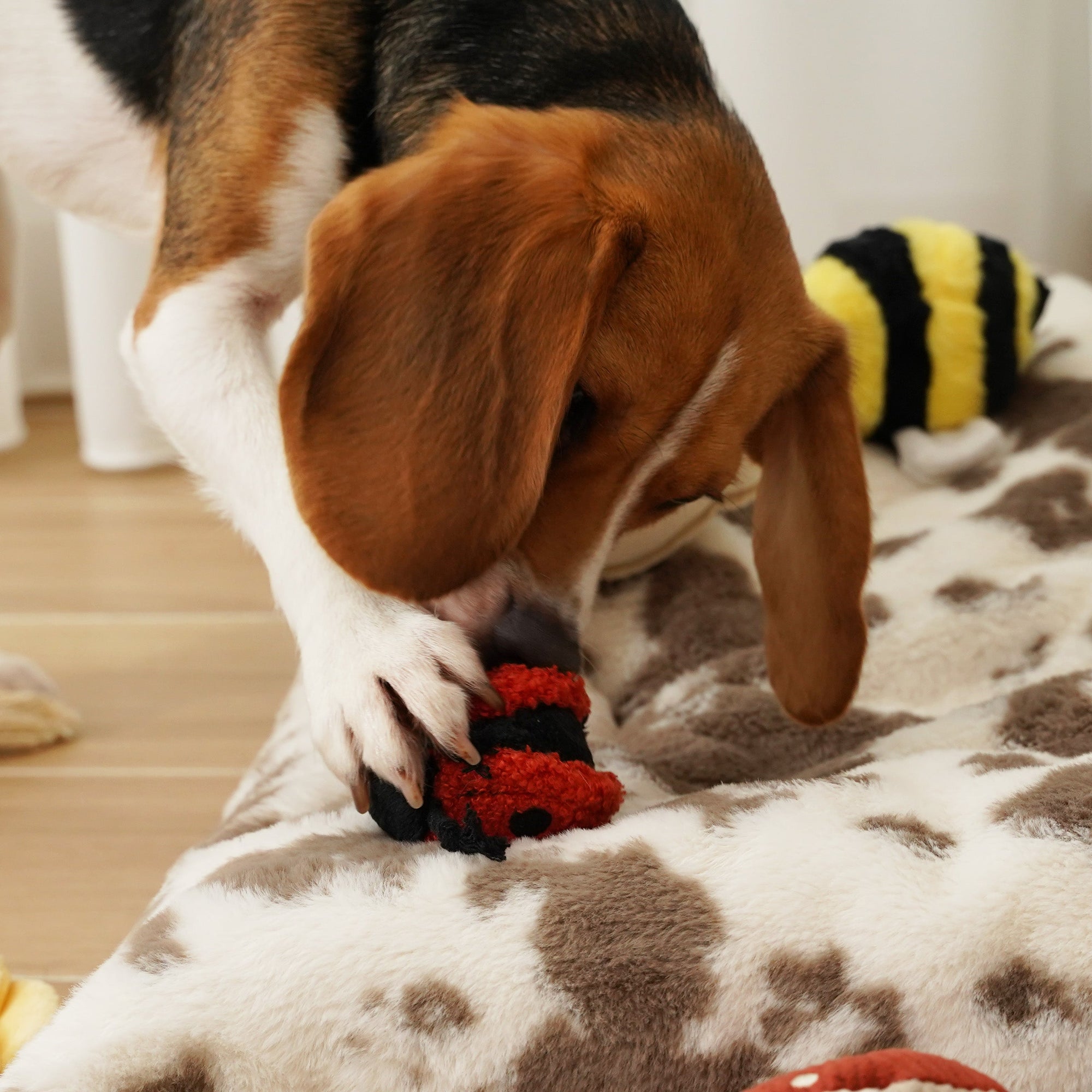Lambwolf Collective - Mini Enrichment Squeaky Ball Dog Toy - Ladybug Pop