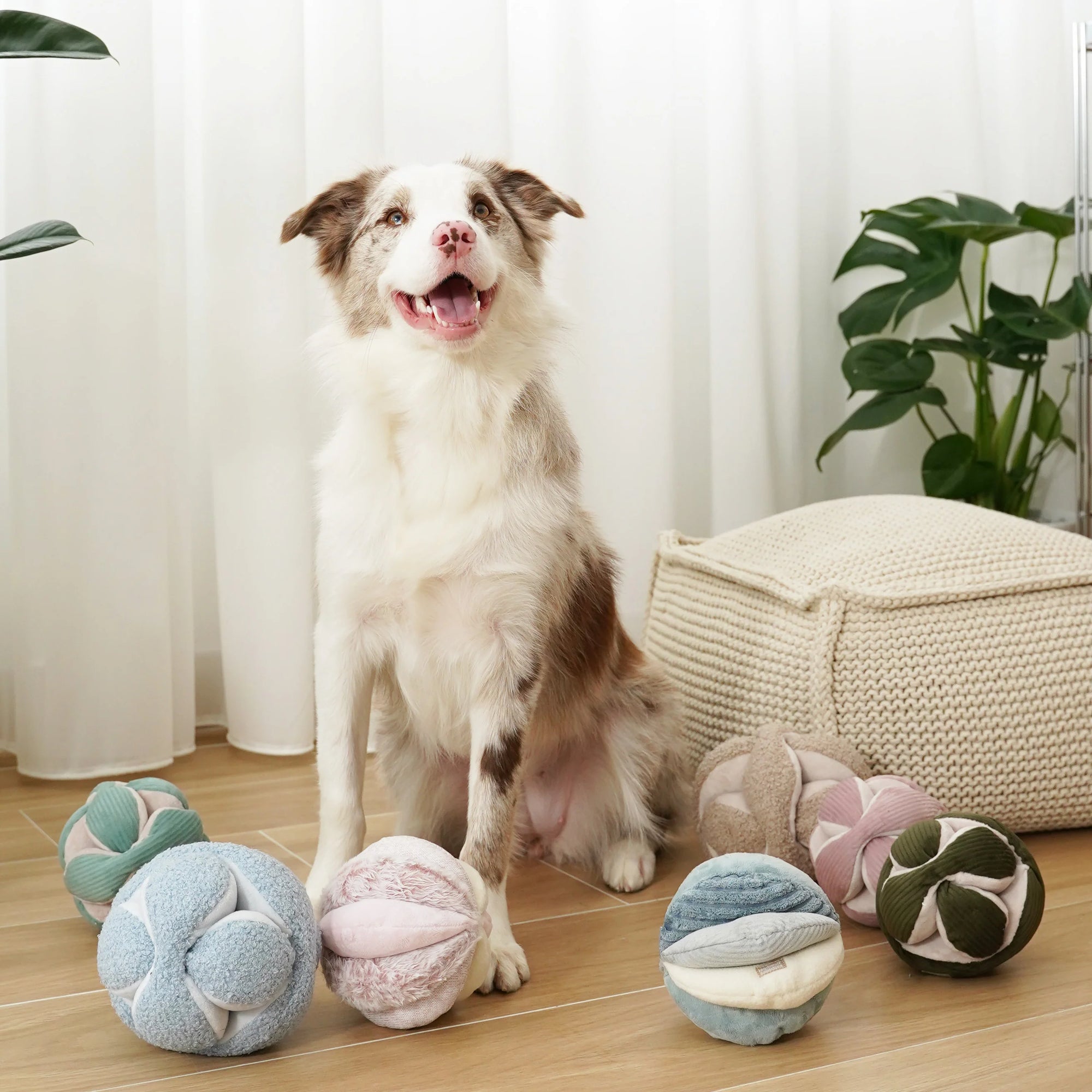 Lambwolf Collective - Monti (Silent) Enrichment Dog Toy - Purple