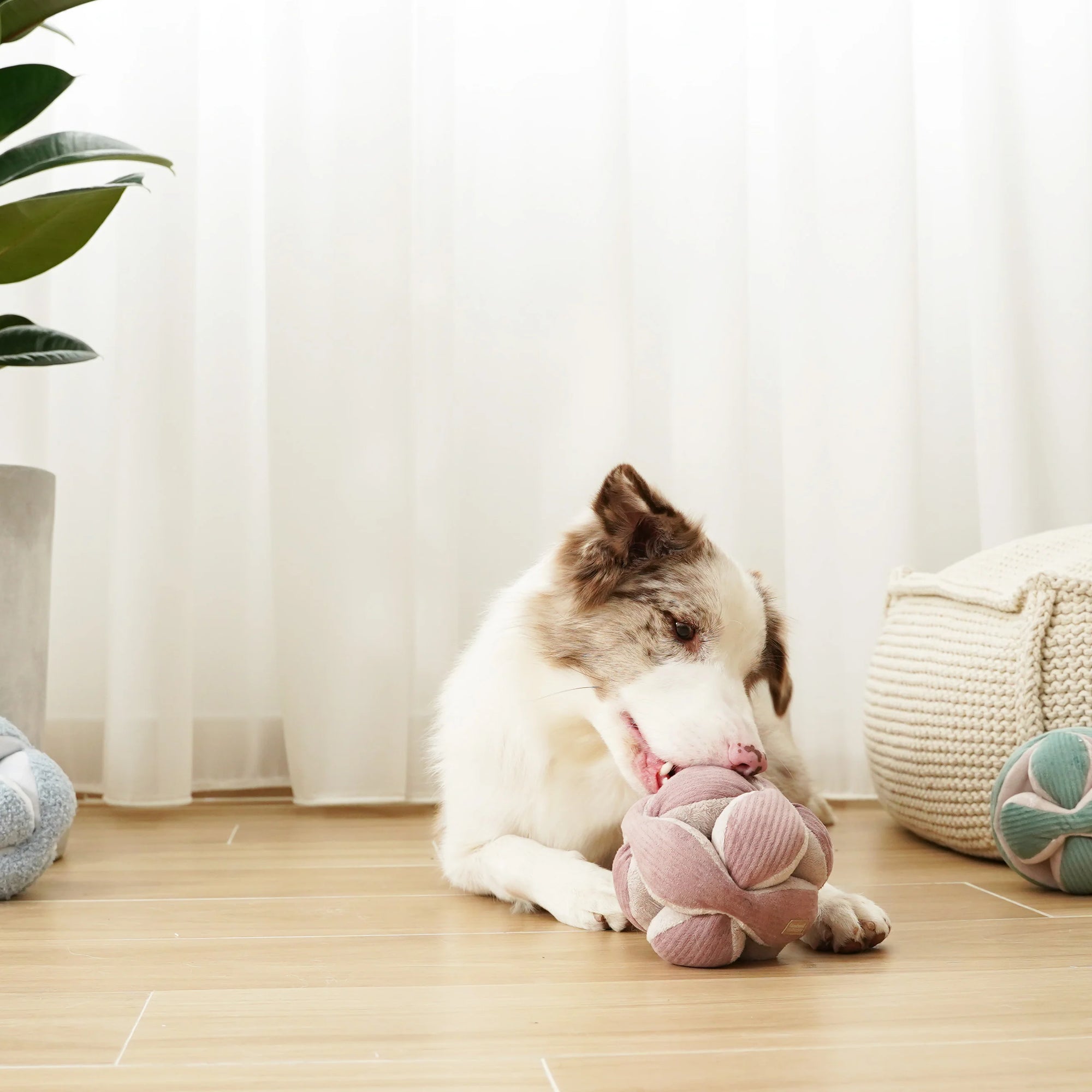 Lambwolf Collective - Monti (Silent) Enrichment Dog Toy - Purple