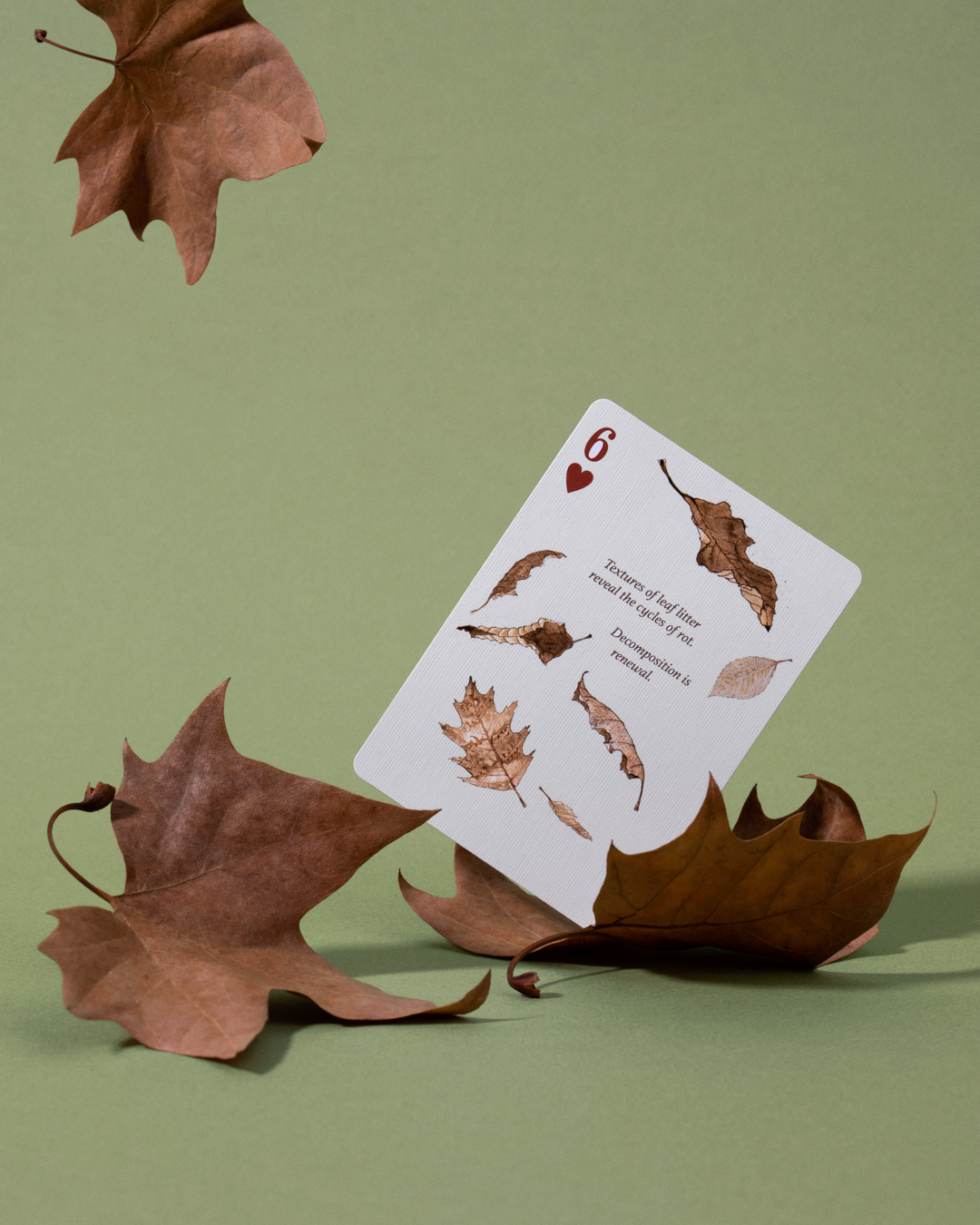Eastern Forest - Playing Cards