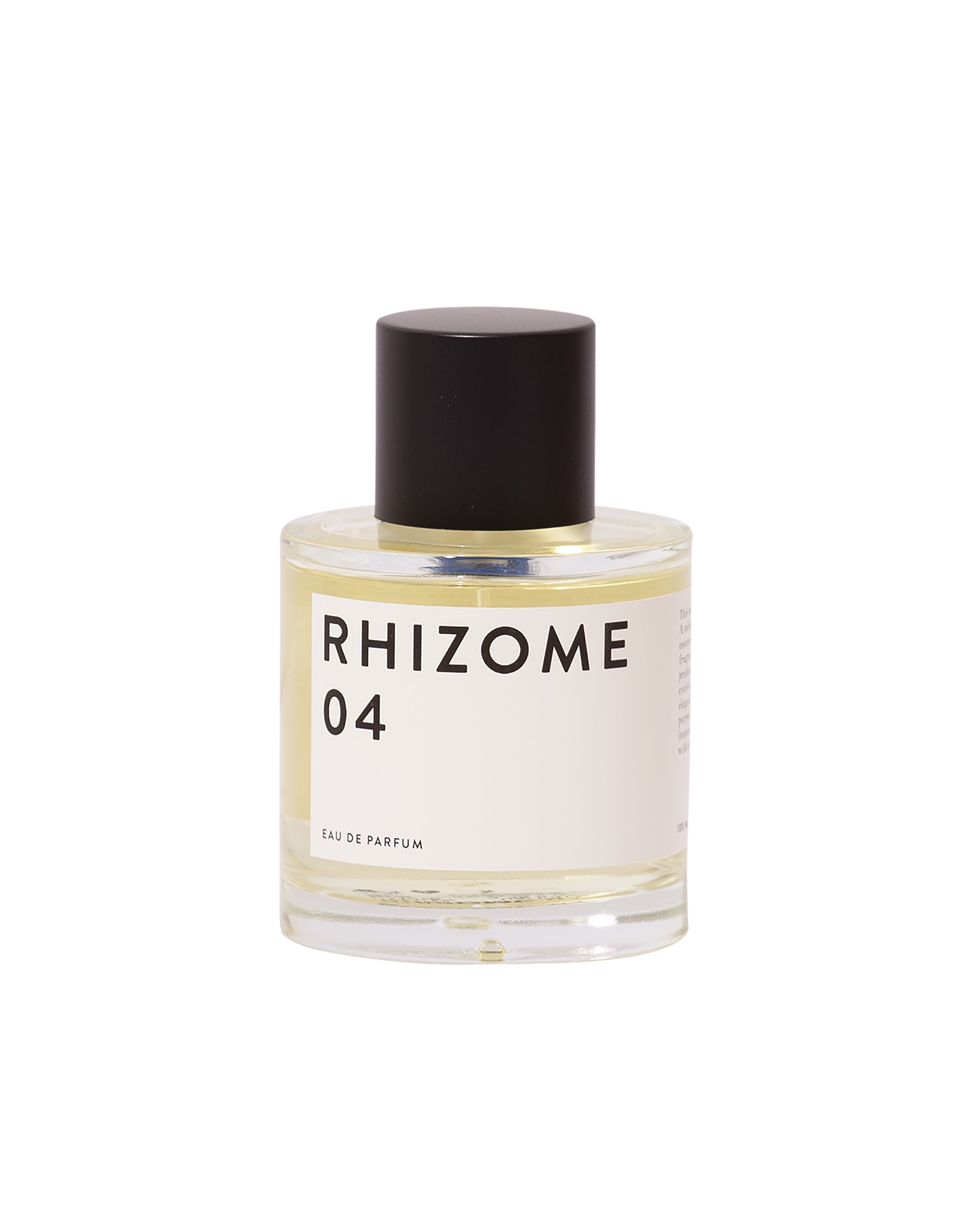 Rhizome 04 - Thumbnail 5