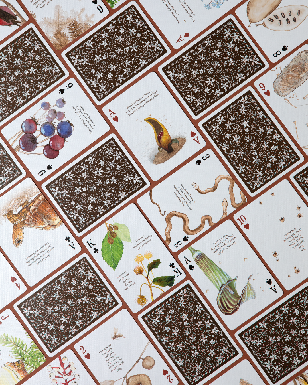 Eastern Forest - Playing Cards
