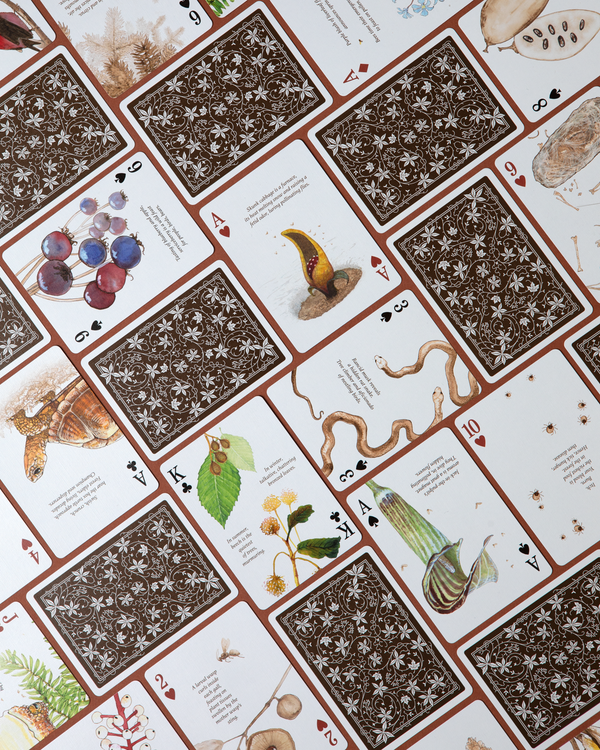 Eastern Forest - Playing Cards