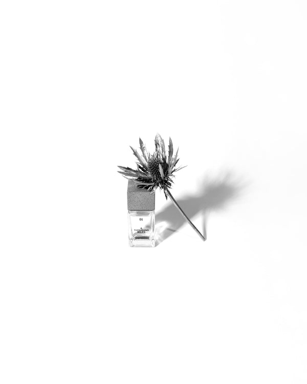 dosigoh - 04 A Thousand Miles