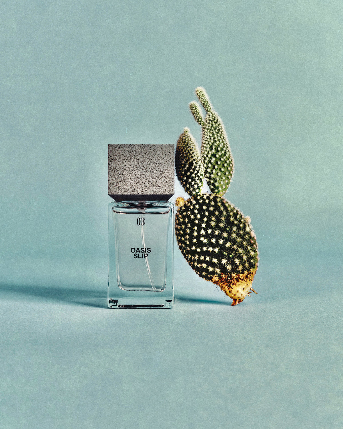 dosigoh - 03 Oasis Slip